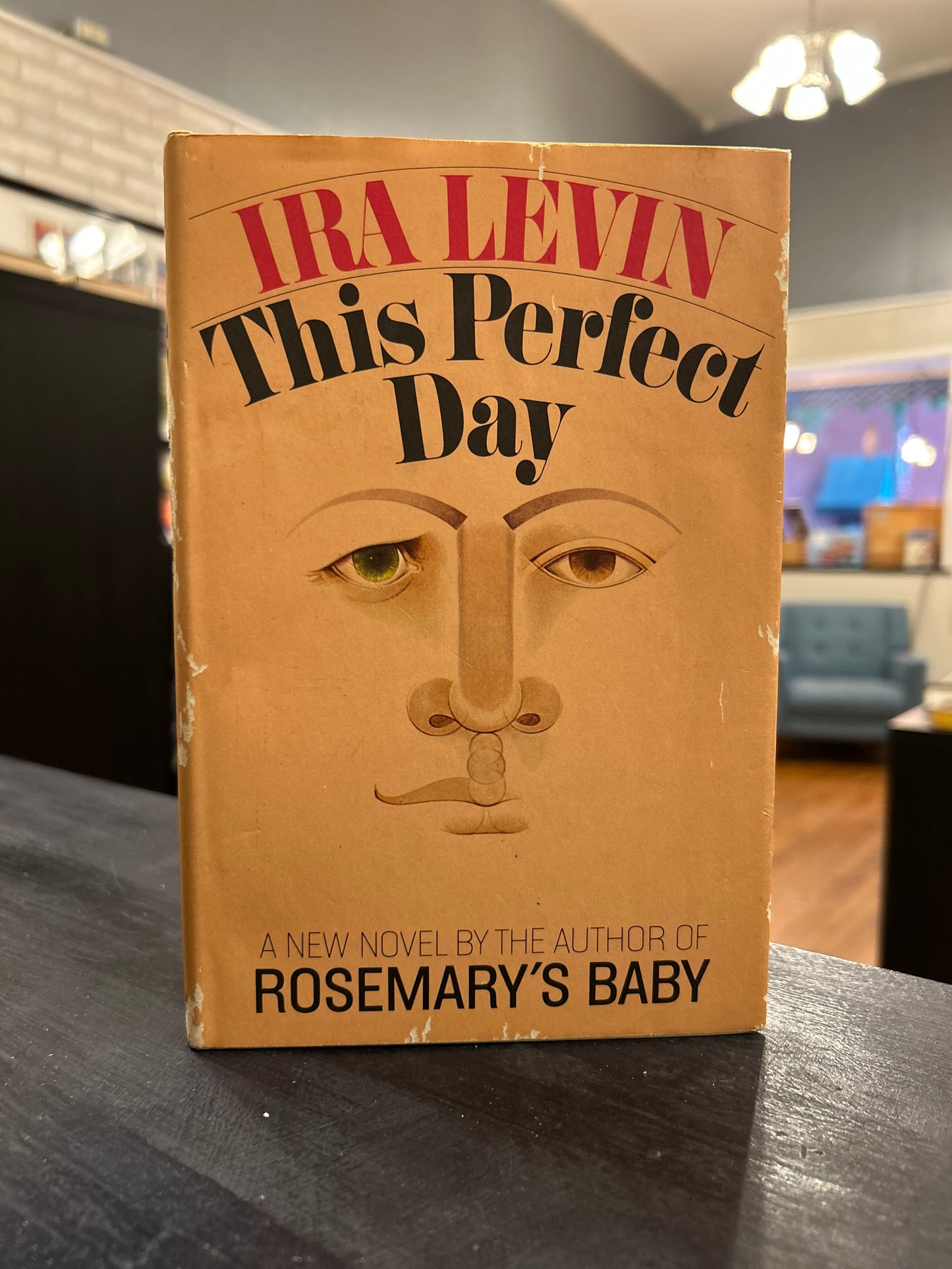 This Perfect Day - Ira Levin