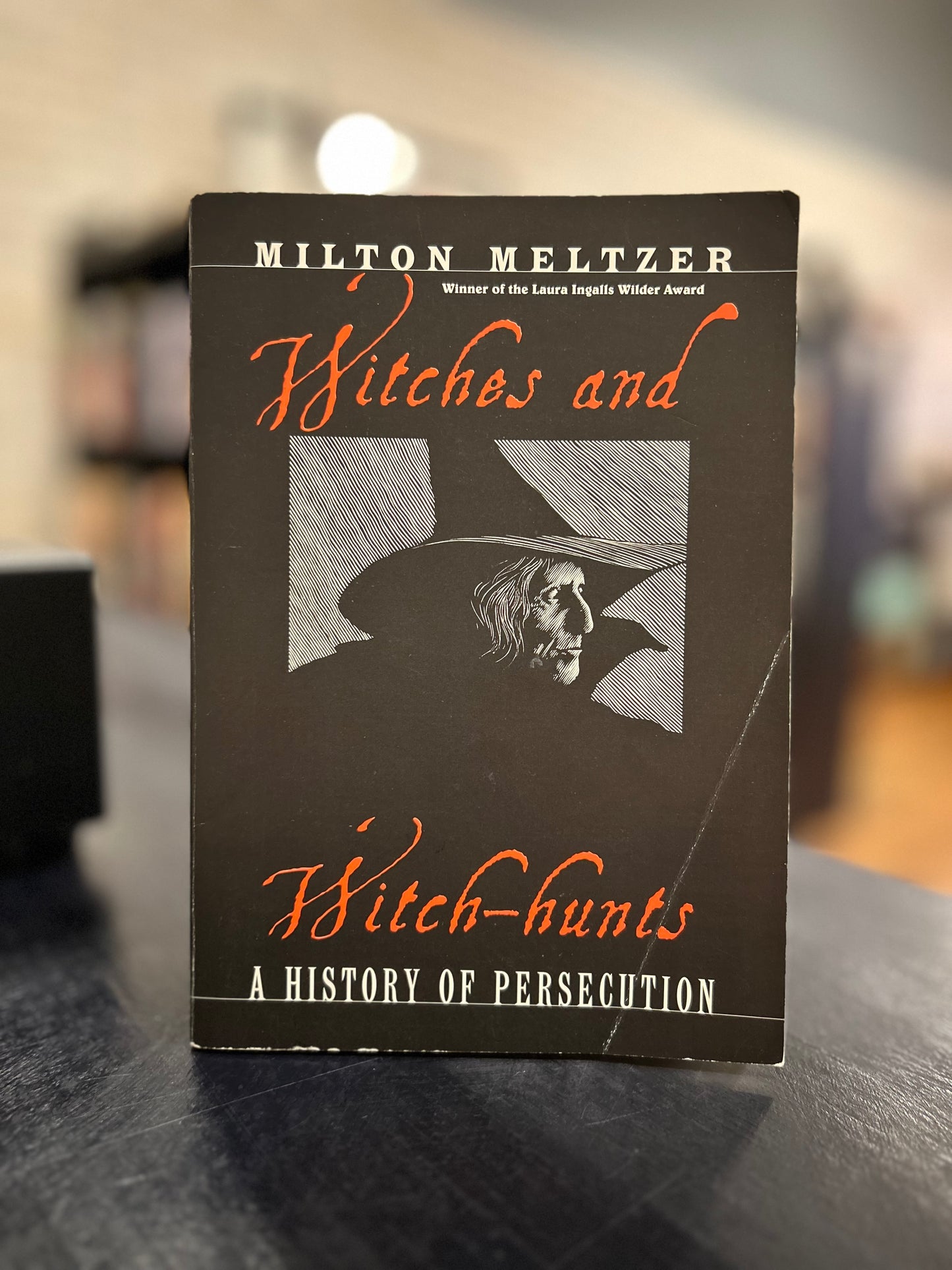 Witches and Witch Hunts by Milton Meltzer