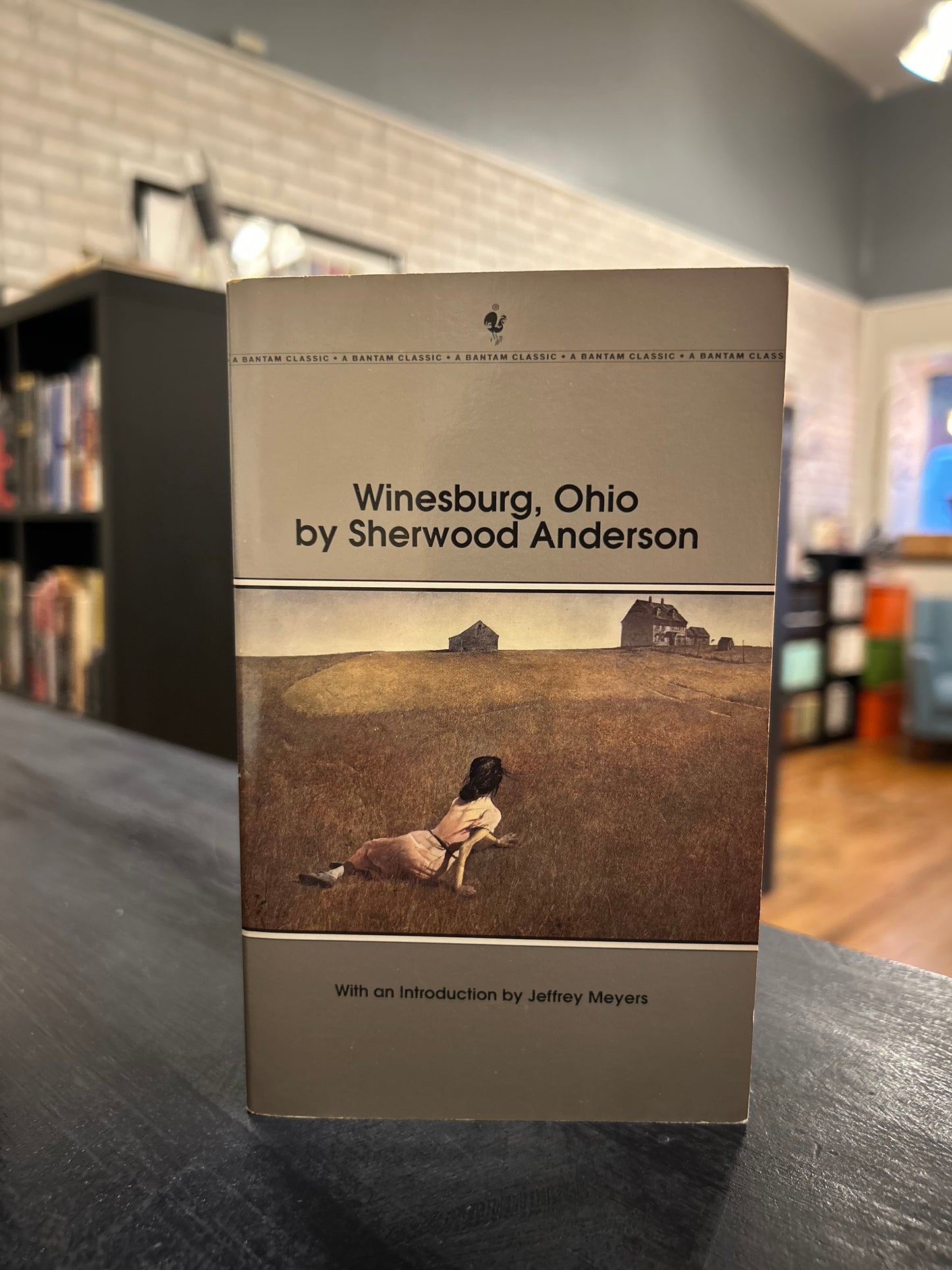 Winesburg, Ohio by Sherwood Anderson