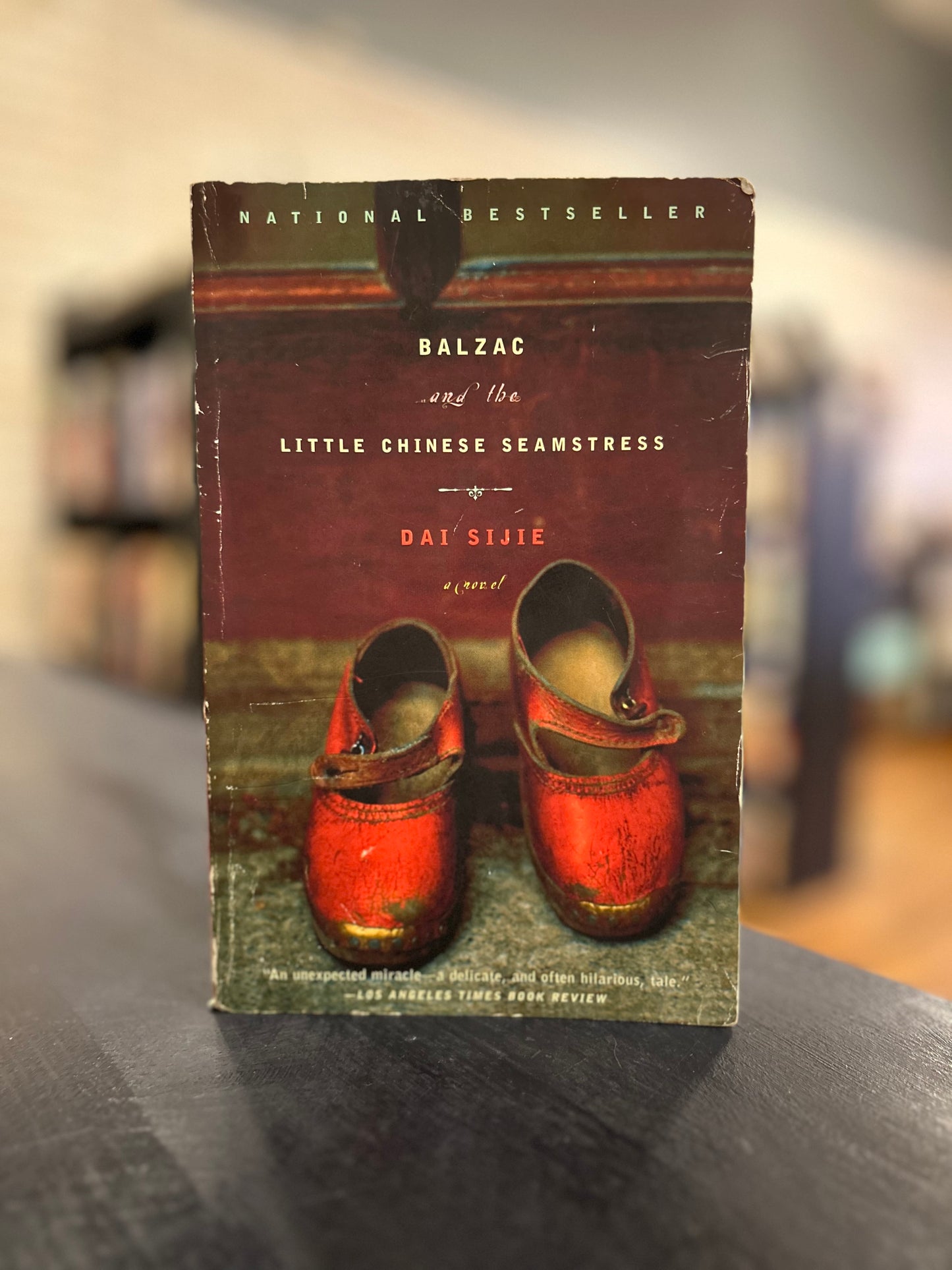 Balzac and the Little Chinese Seamstress - Dai Sijie