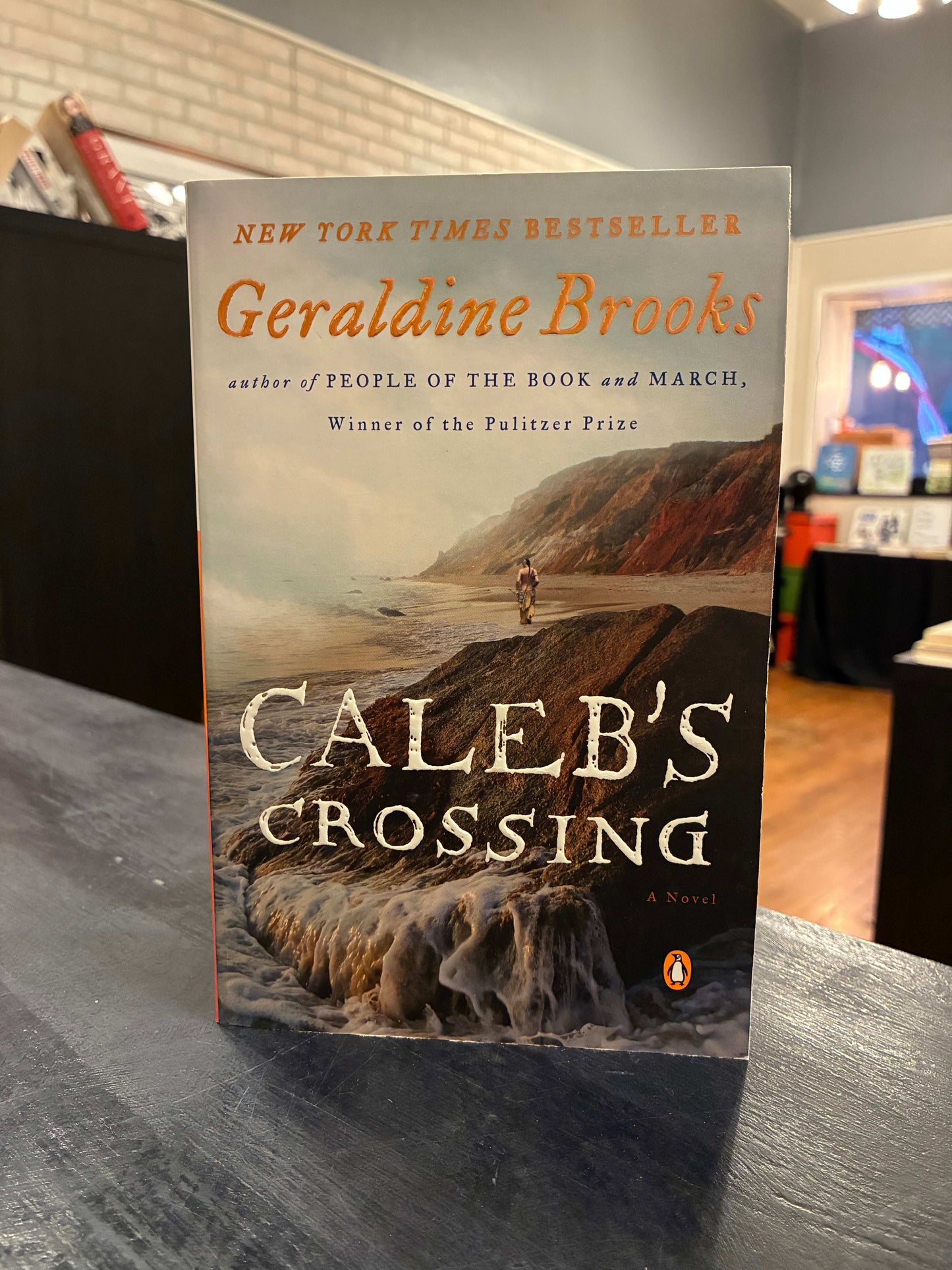 Caleb's Crossing - Geraldine Brooks,