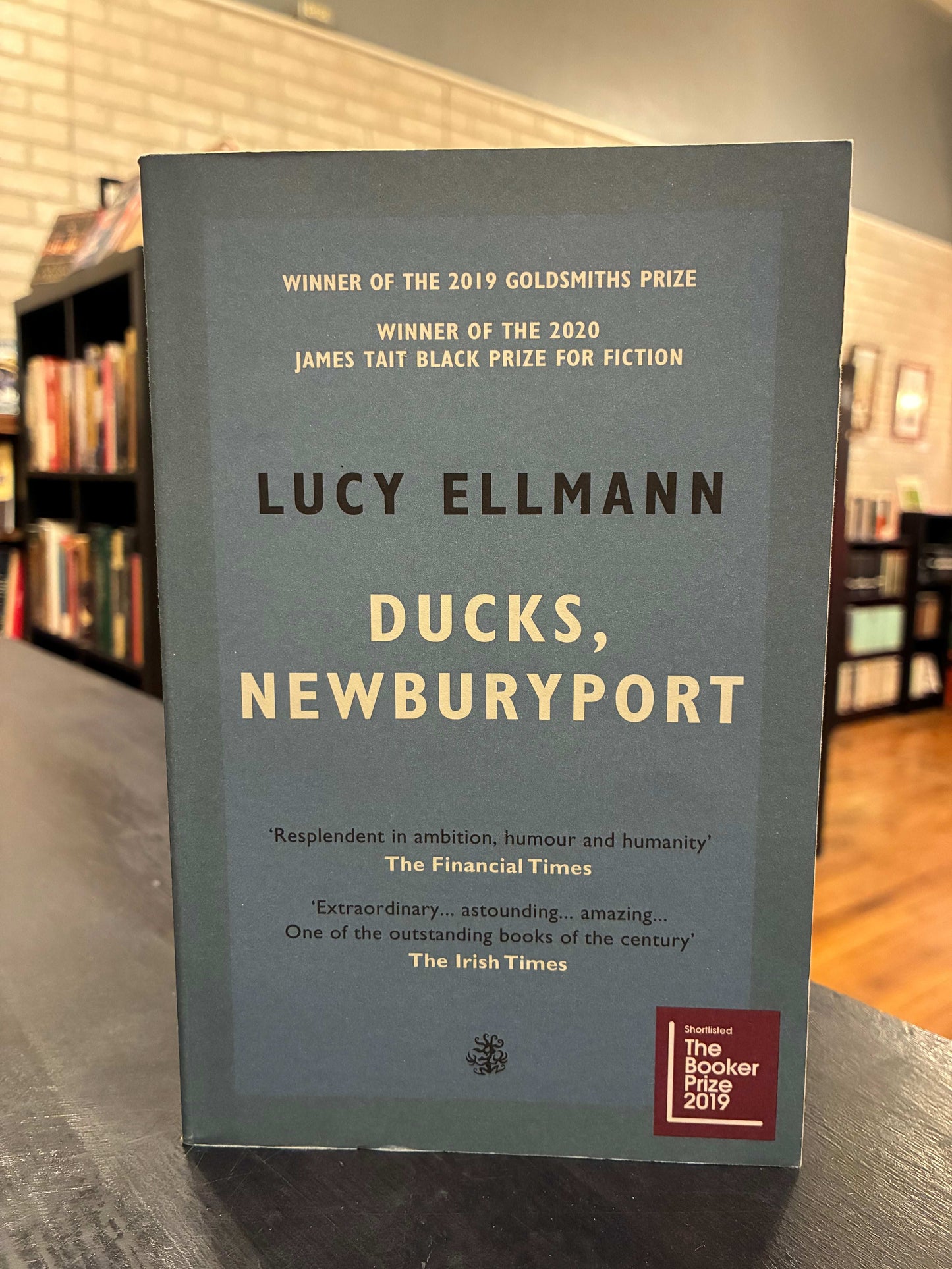 Ducks, Newburyport - Lucy Ellmann