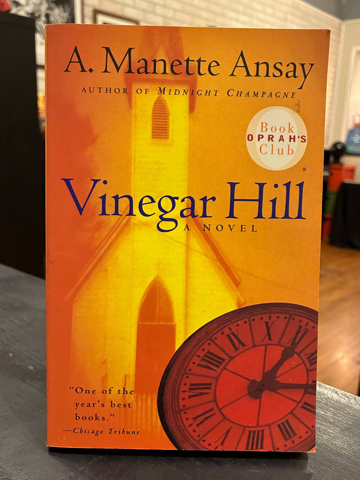 Vinegar Hill by A. Manette Ansyay