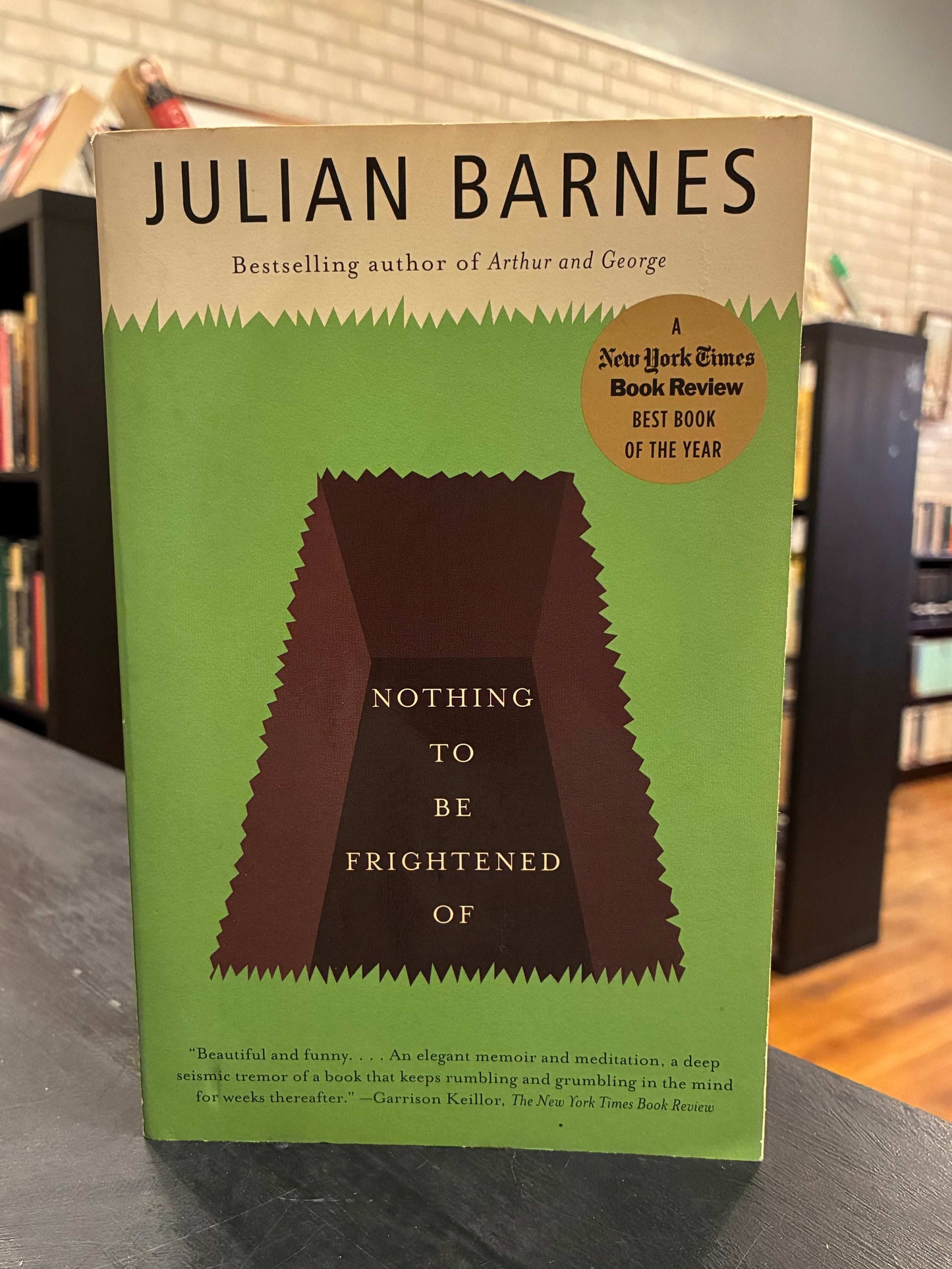 Nothing to Be Frightened of - Julian Barnes