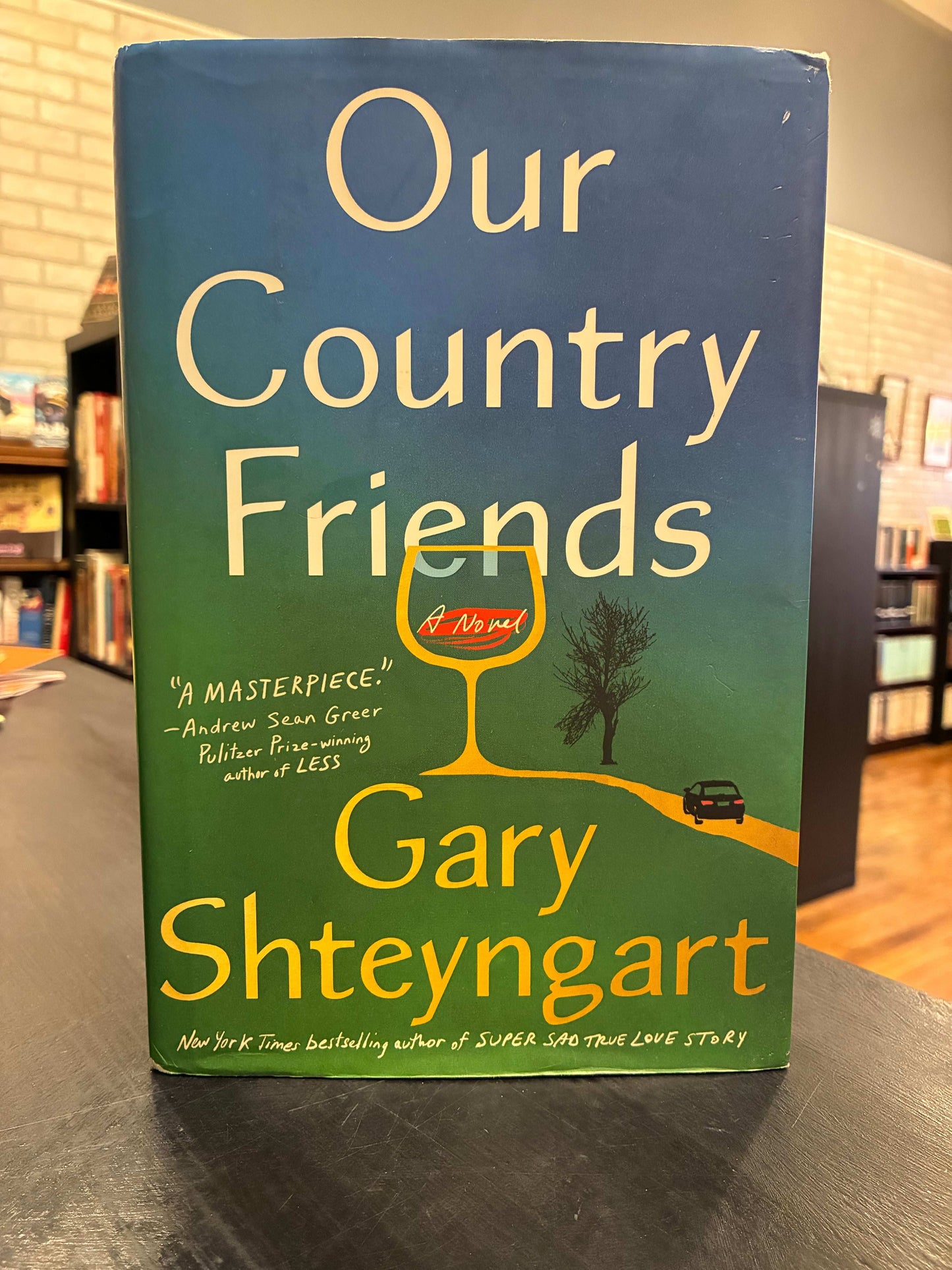 Our Country Friends - Gary Shteyngart