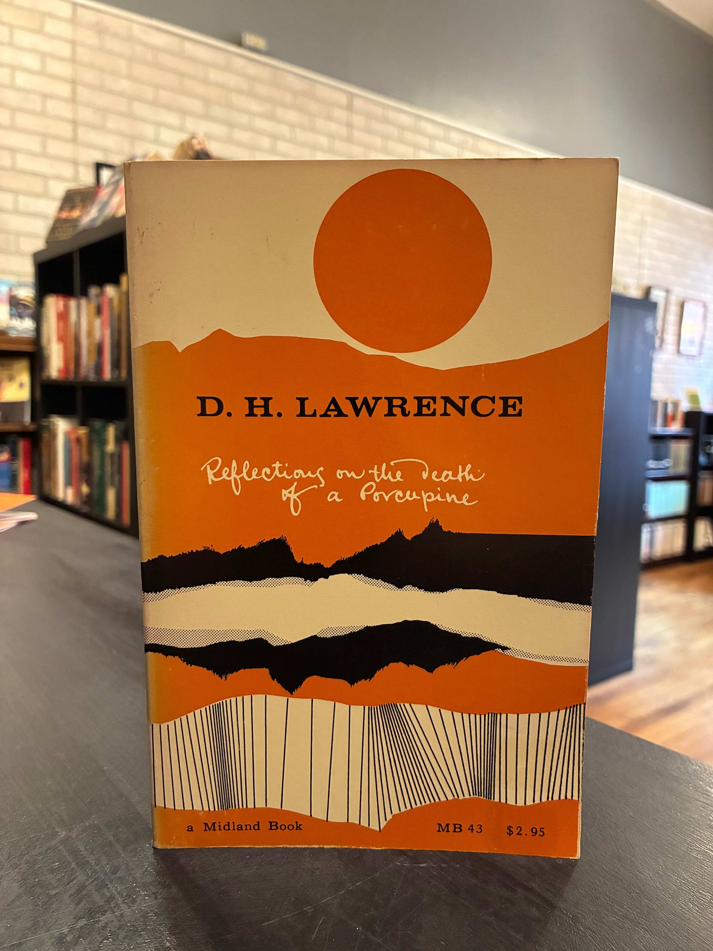 Reflections on the death of a Porcupine - DH Lawrence