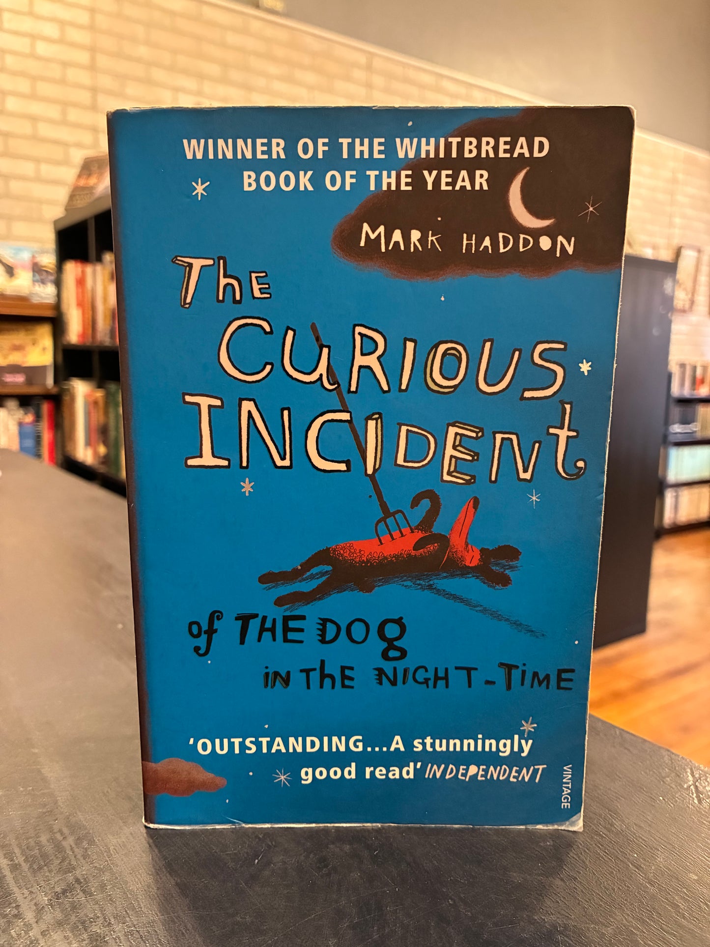 The Curious Incident of the Dog in the Night-Time - Mark Haddon