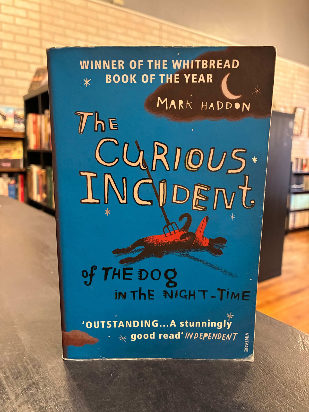 The Curious Incident of the Dog in the Night-Time - Mark Haddon