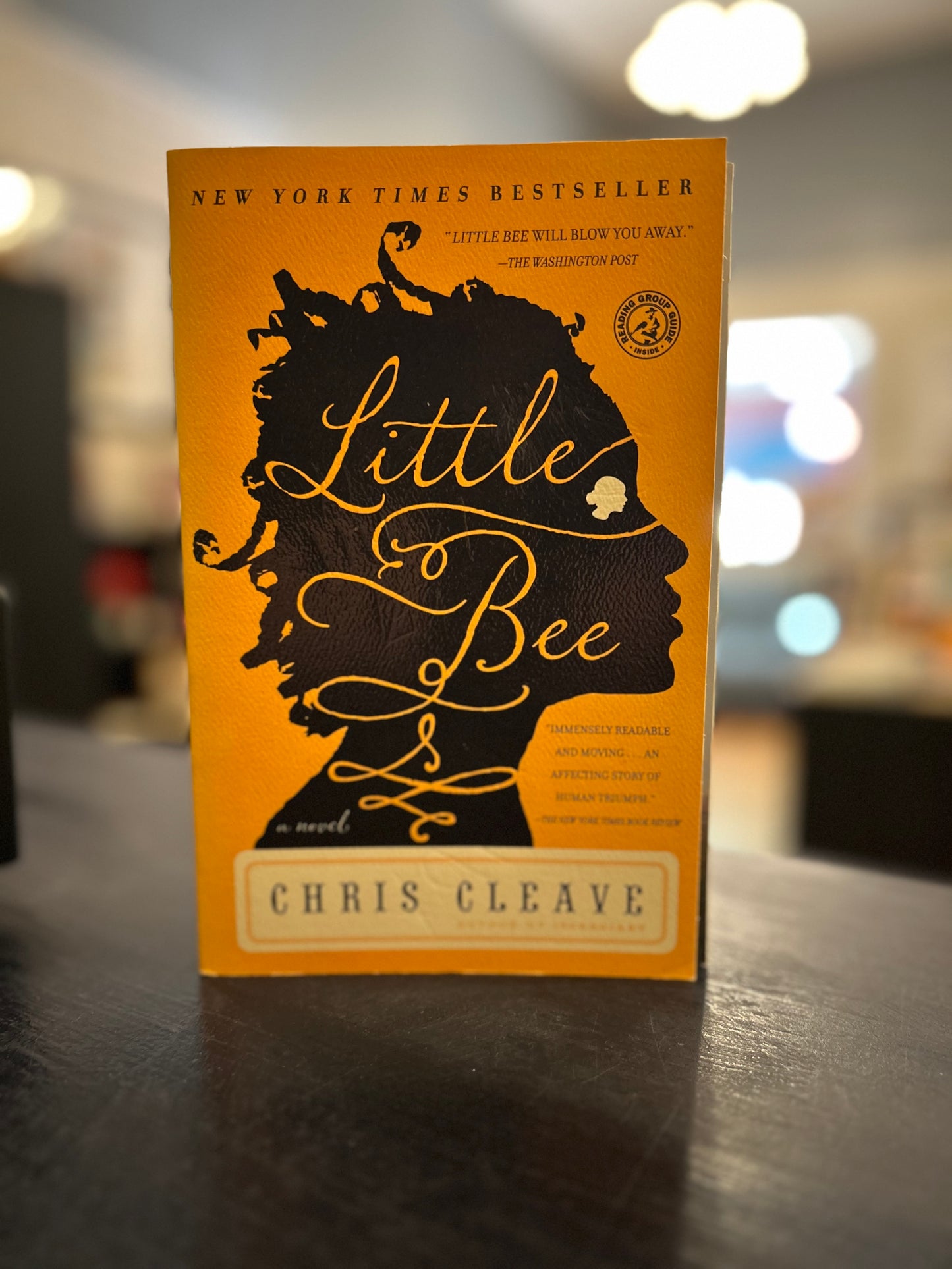 Little Bee by Chris Cleave