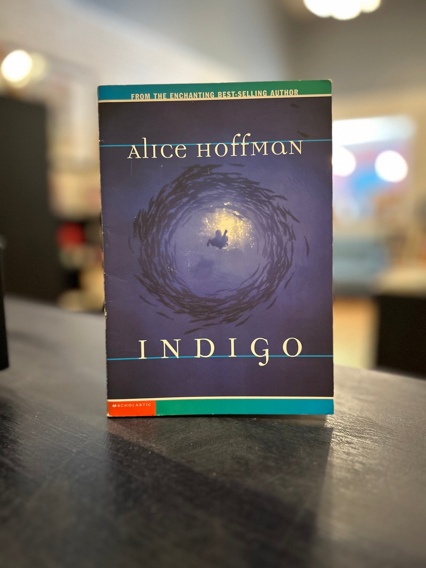 Indigo - Alice Hoffman