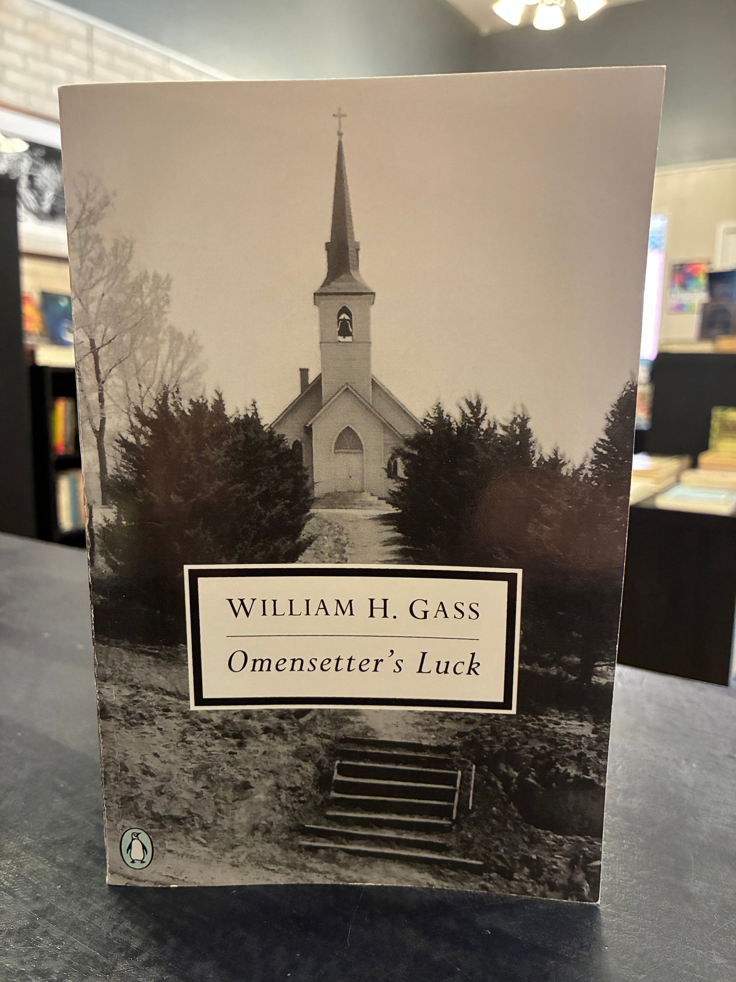 Omensetter's Luck by William H. Gass