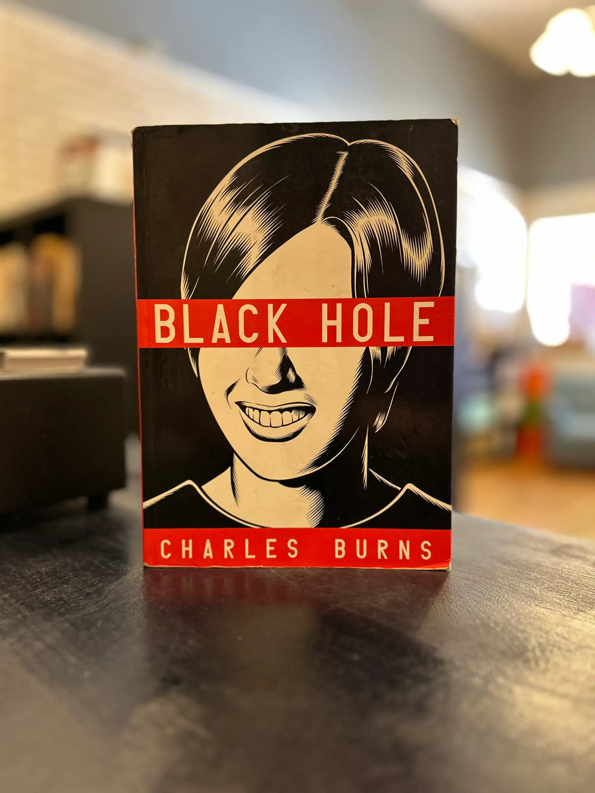 Black Hole - Graphic Novel - Charles Burns