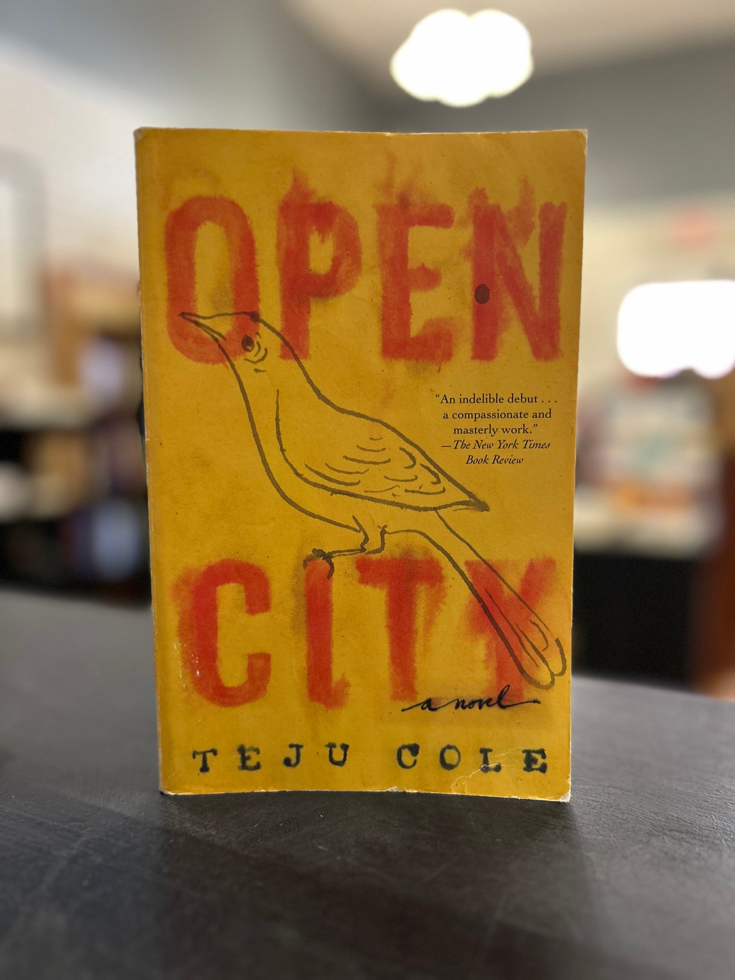 Open City -