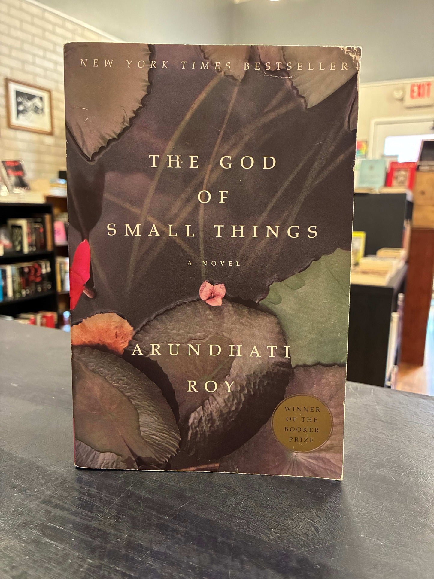 The God Of Small Things - Arundhati Roy - Paperback