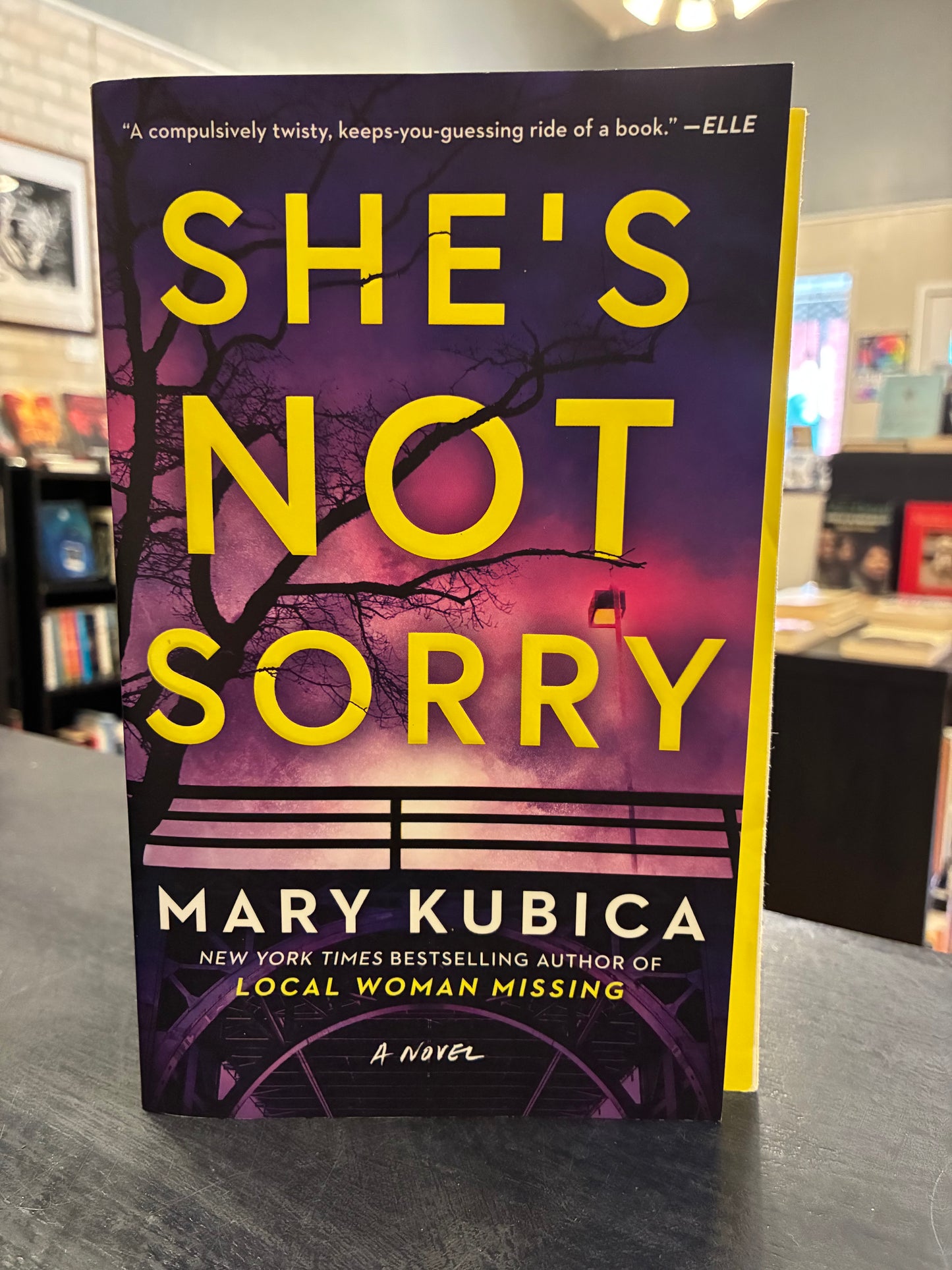 She's Not Sorry - Mary Kubica