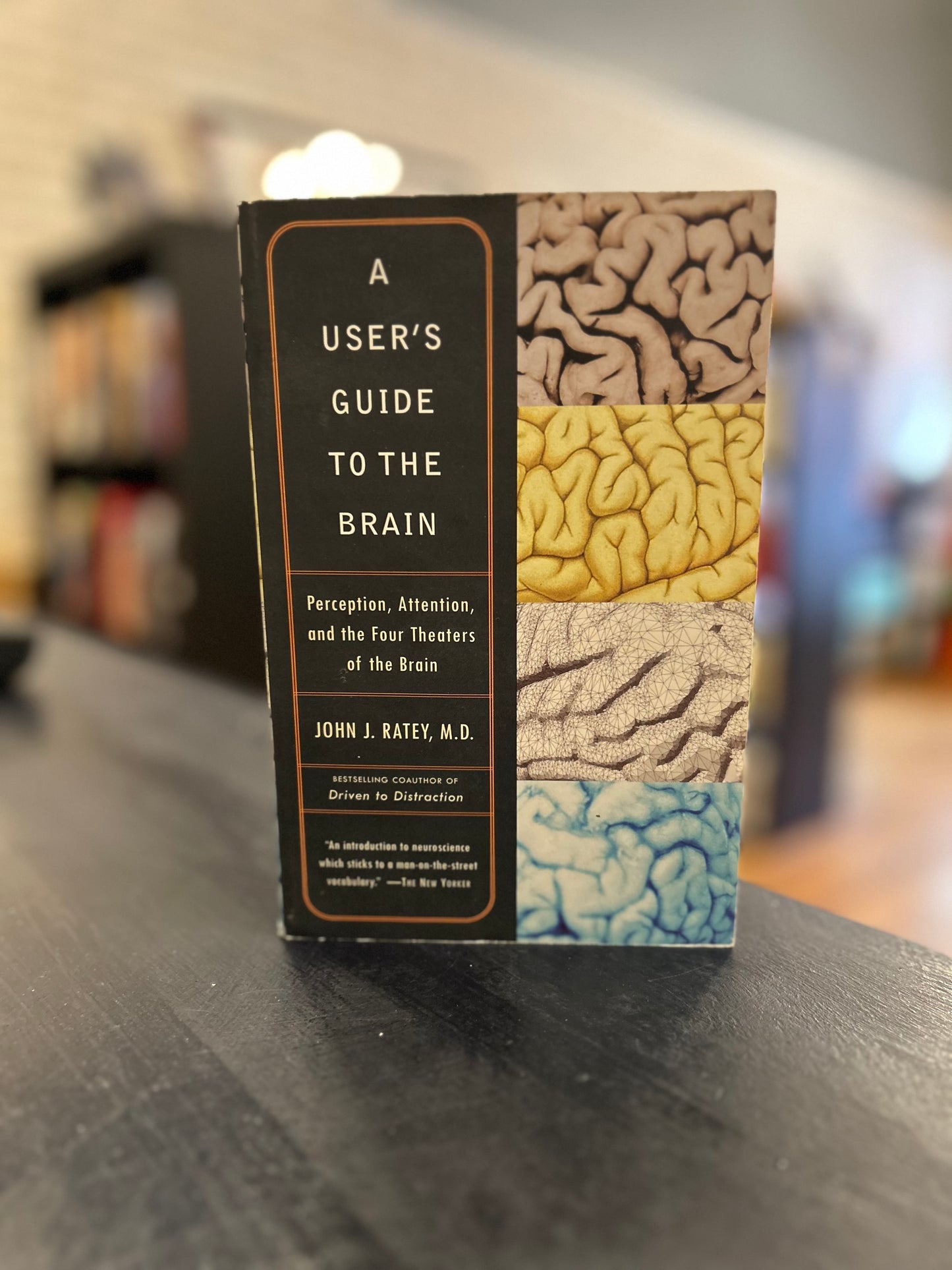 A User's Guide to the Brain - John J Ratey MD