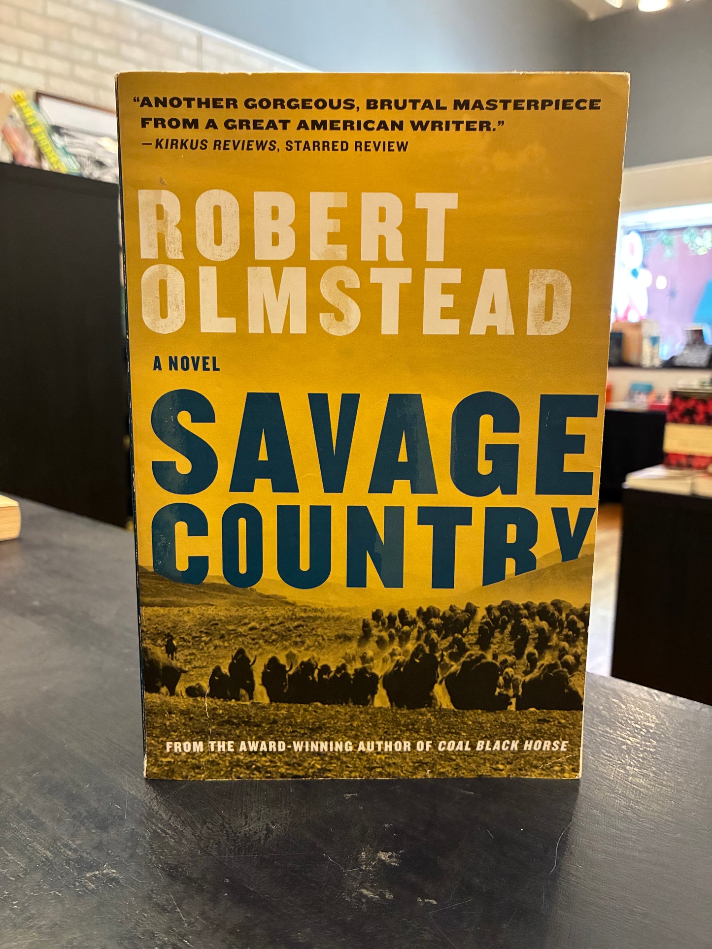 Savage Country - Robert Olmstead