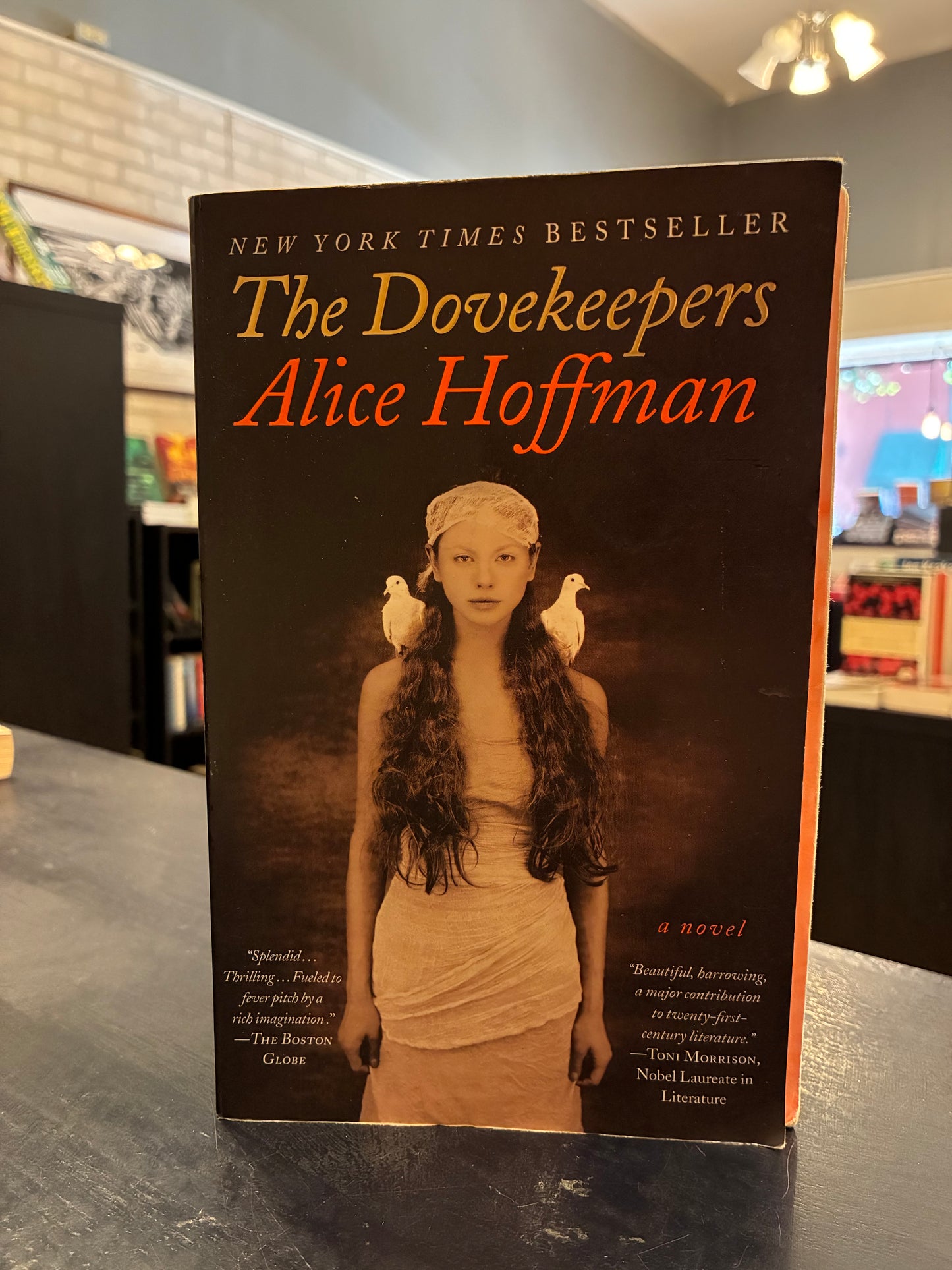 The Dovekeepers - Alice Hoffman