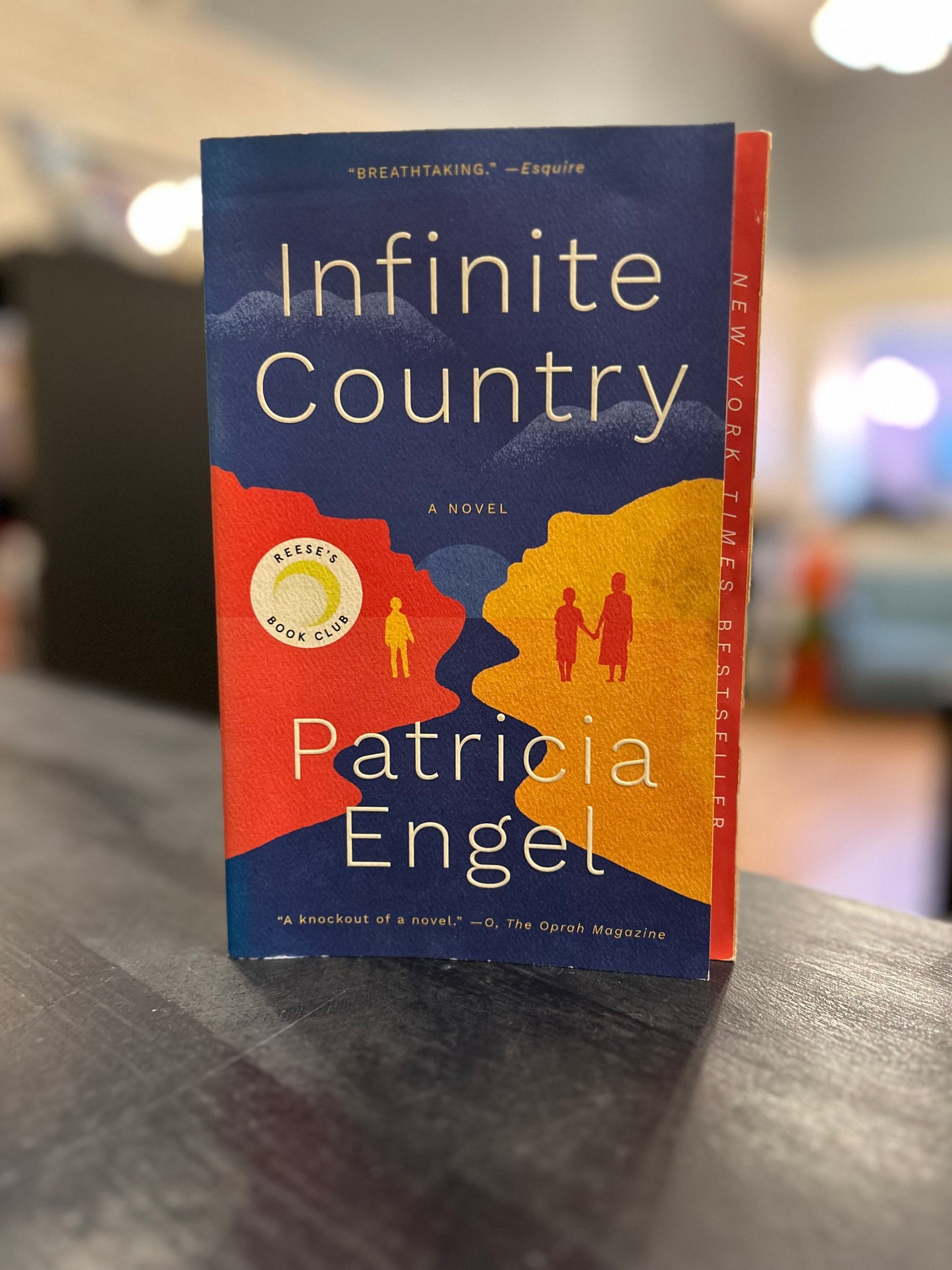 Infinite Country - Patricia Engel
