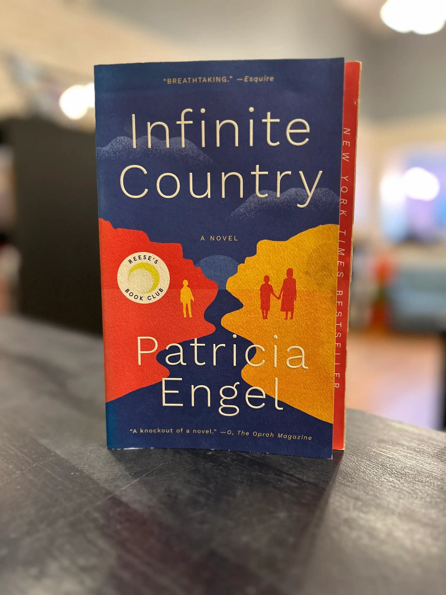 Infinite Country - Patricia Engel
