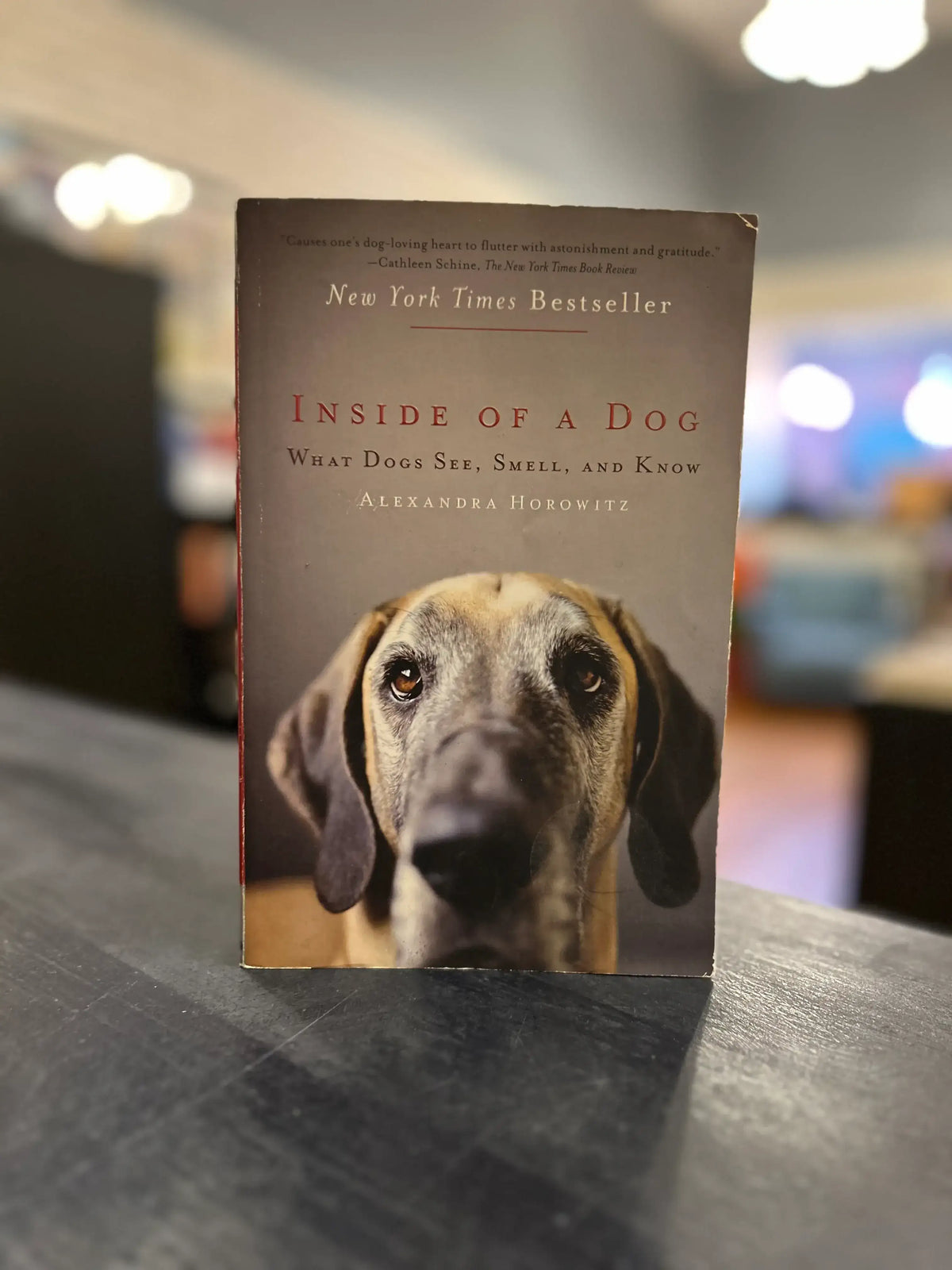 Inside of a Dog by Alexandra Horowitz