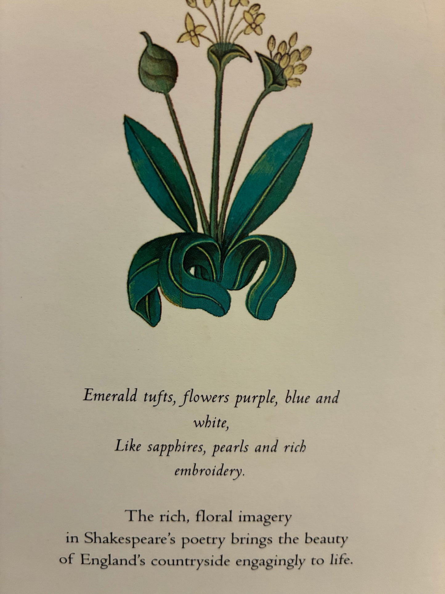 Shakespeare's Flowers