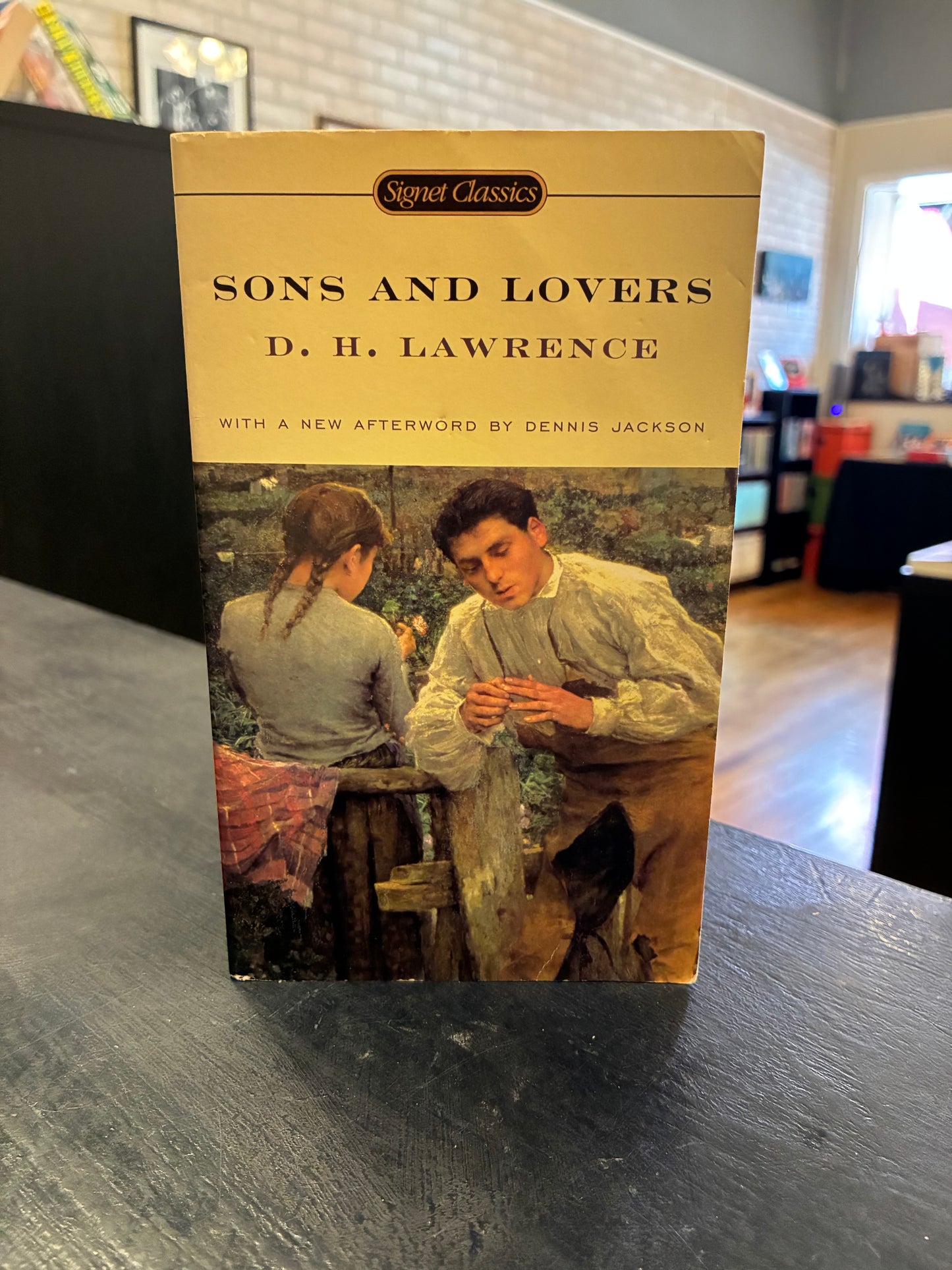 Sons and Lovers - DH Lawrence - MM