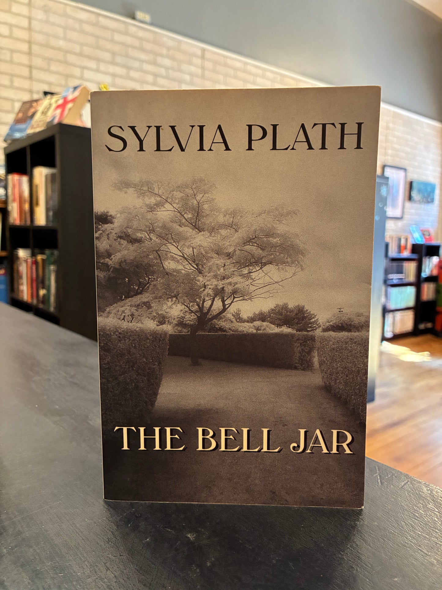 The Bell Jar - Sylvia Plath - Trade Paper - Grey