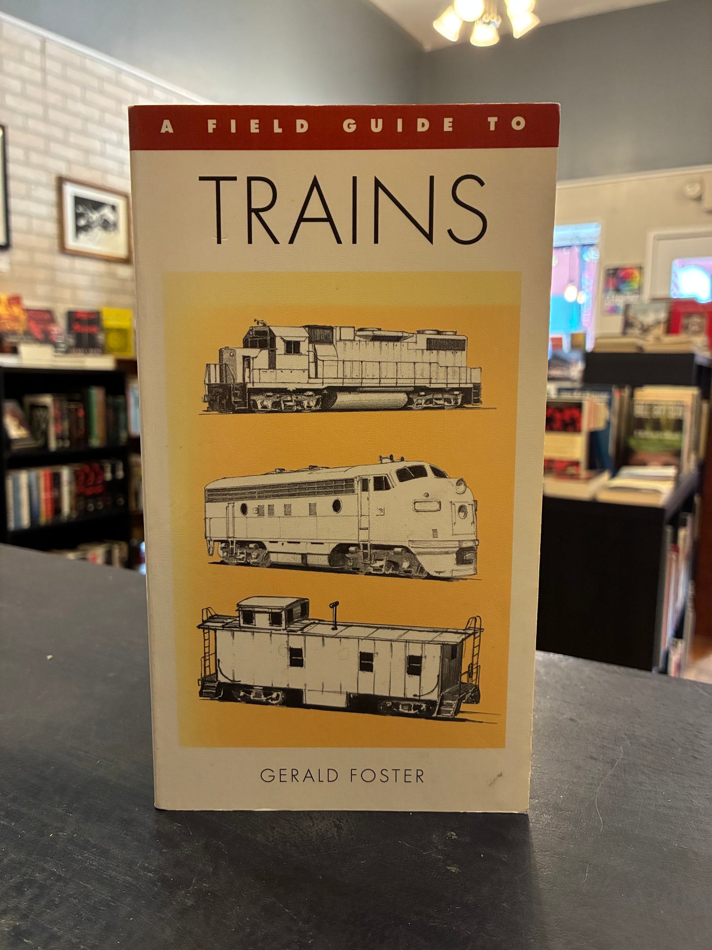 A Field Guide to Trains - Gerald Foster