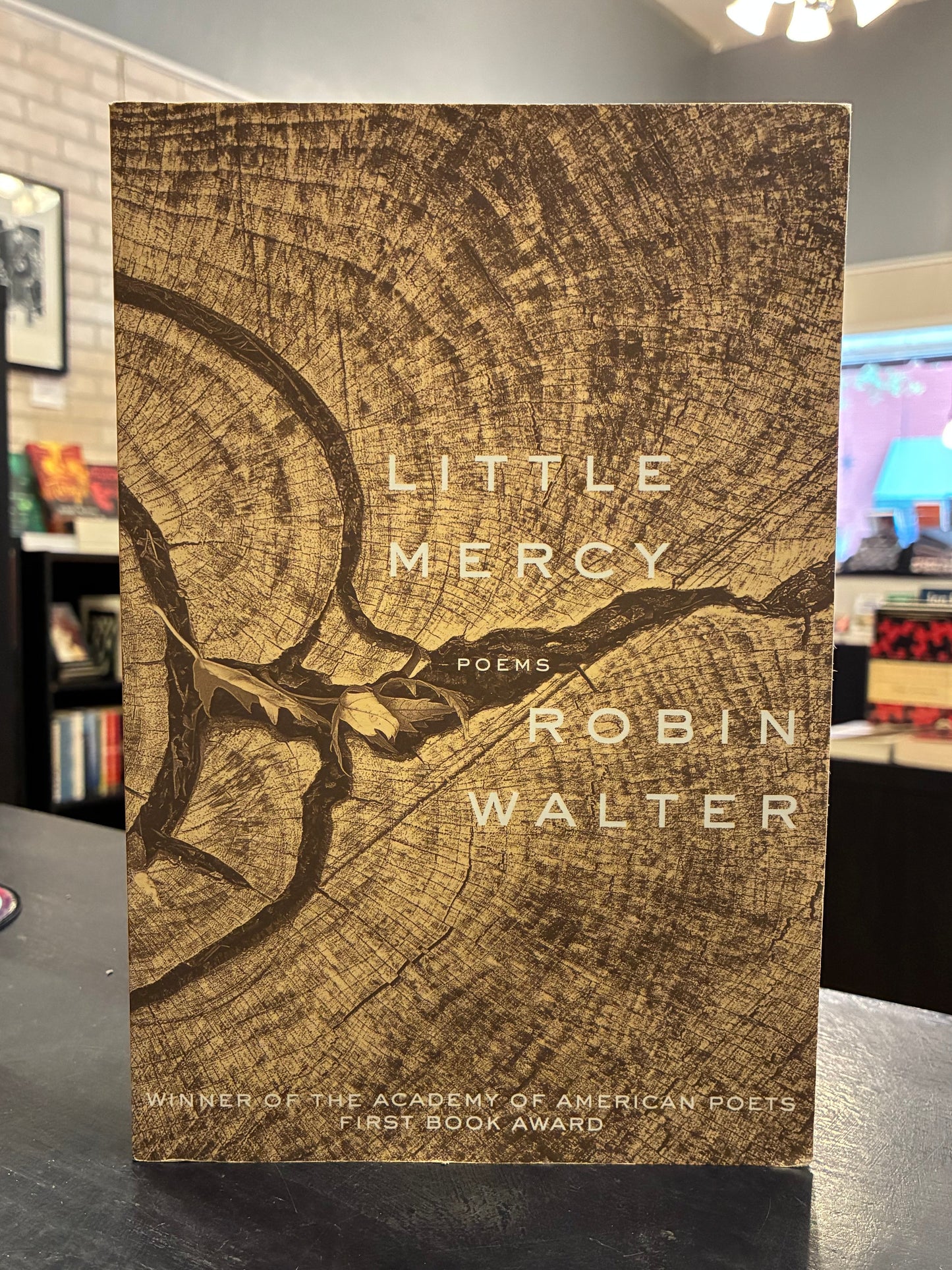 Little Mercy - Robin Walter