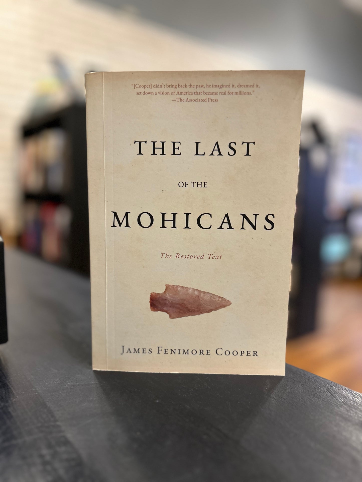 The Last of the Mohicans - James Fenimore Cooper