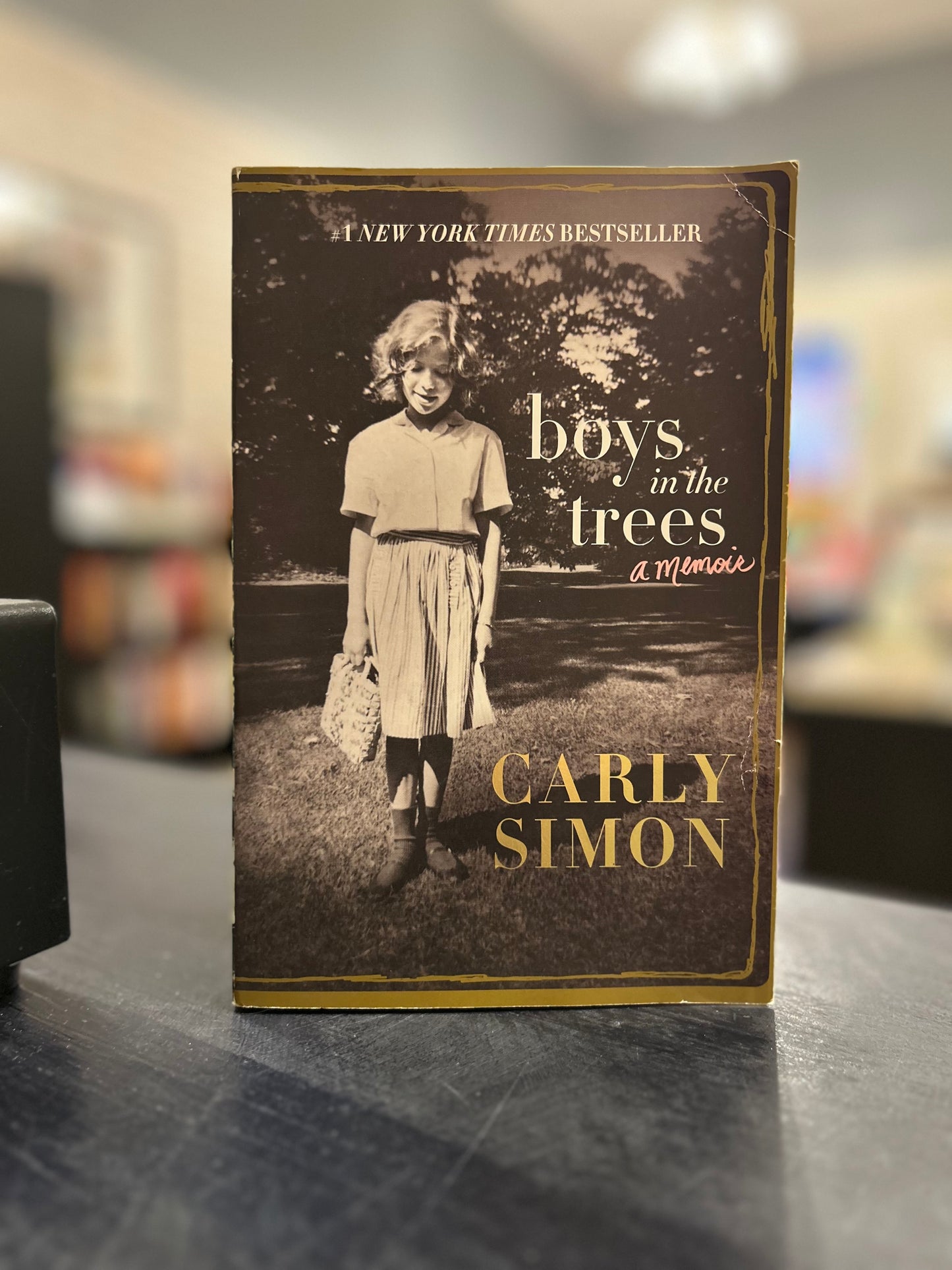 Boys in the Trees - Carly Simon