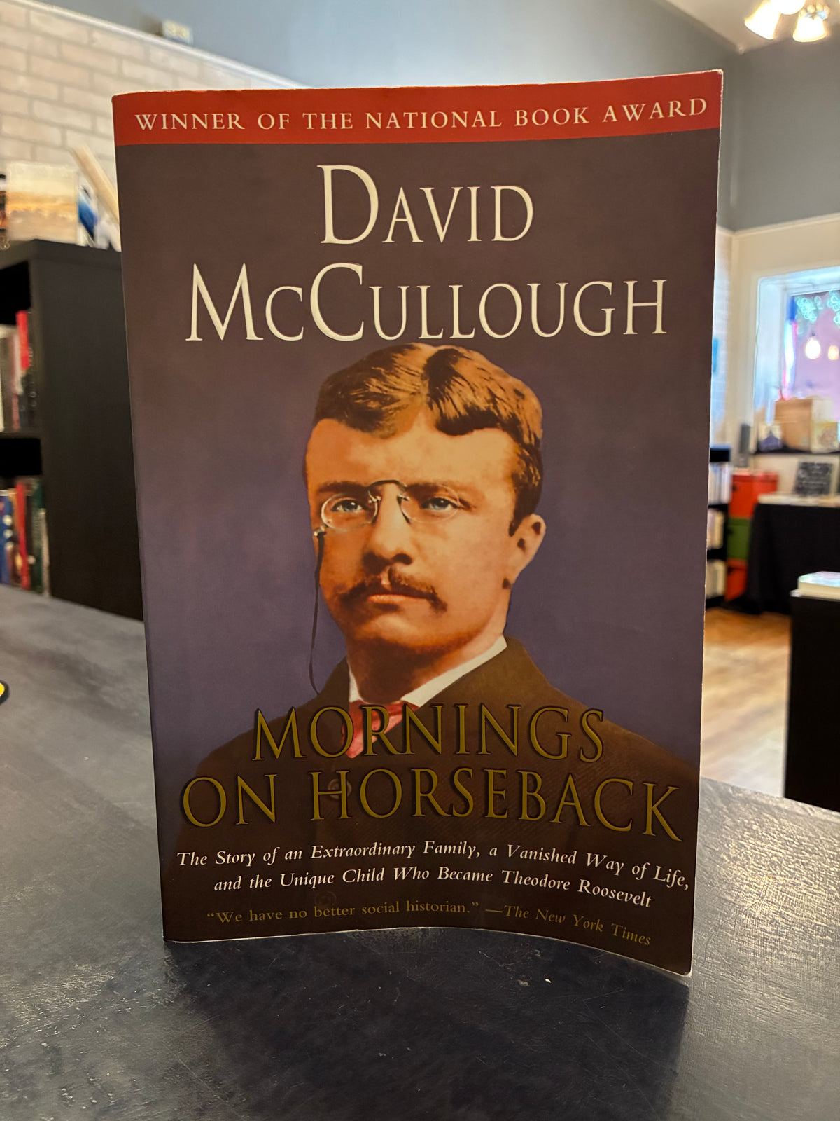 Mornings on Horseback - David McCullough