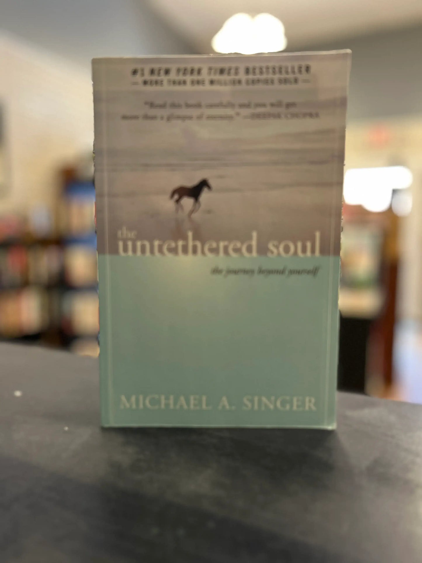 The Untethered Soul - Michael A. Singer