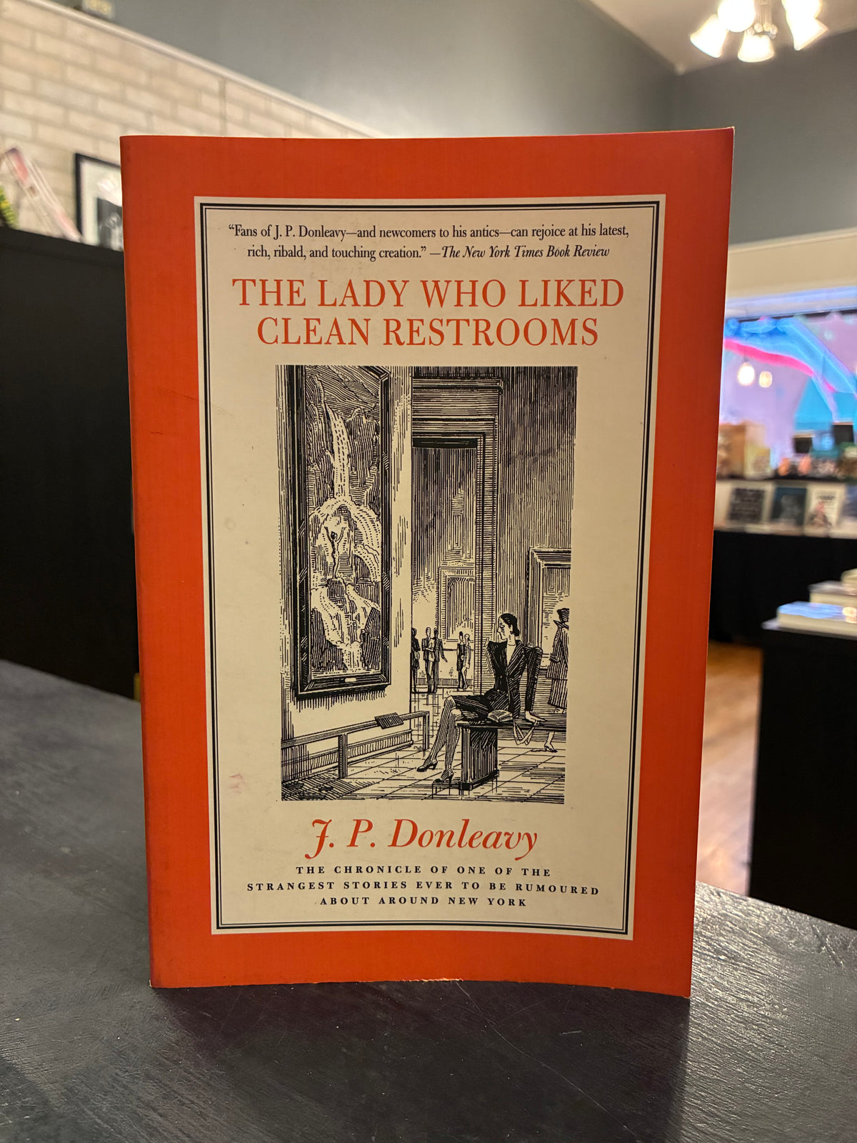 The Lady Who Liked Clean Restrooms - JP Donleavy