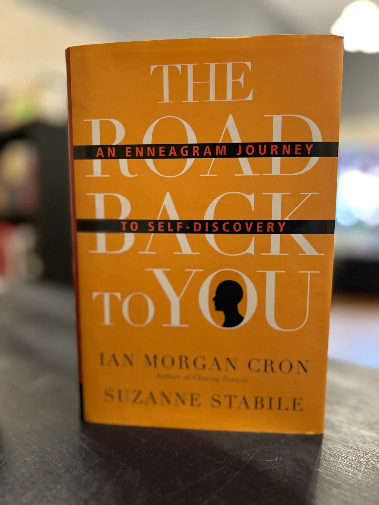 The Road Back to You - Ian Morgan Cron and Suzanne Stabile