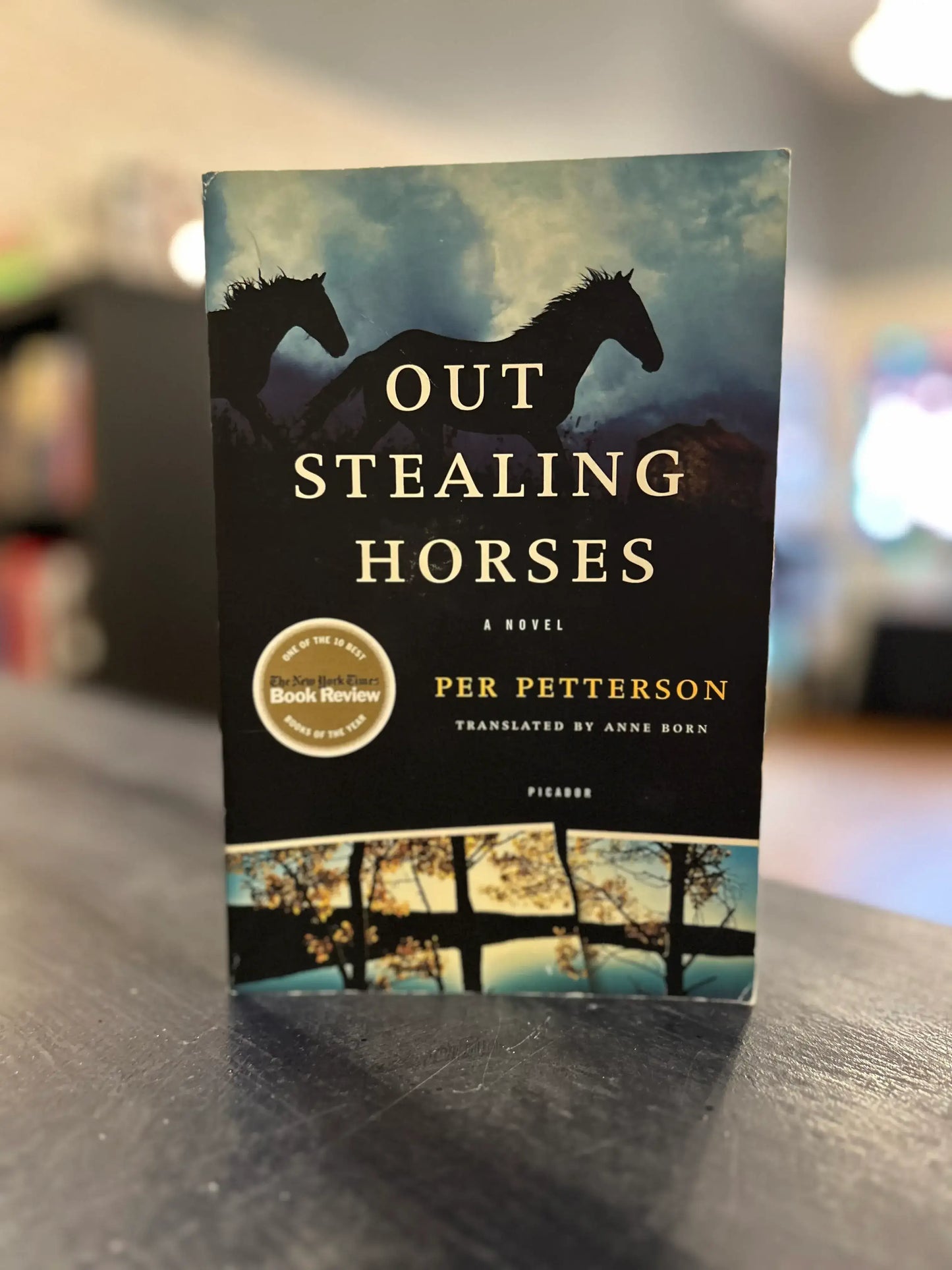 Out Stealing Horses - Per Petterson