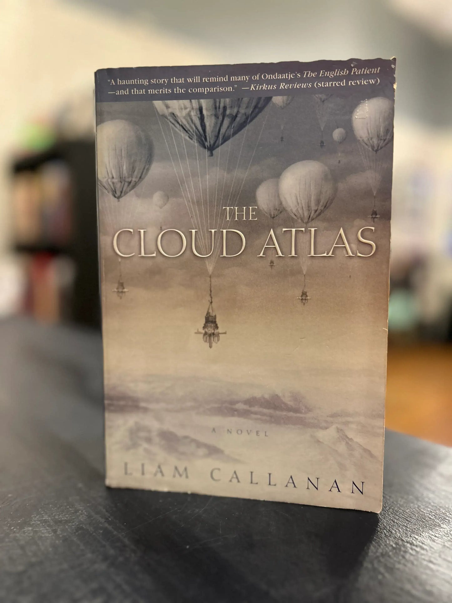 The Cloud Atlas - Liam Callanan