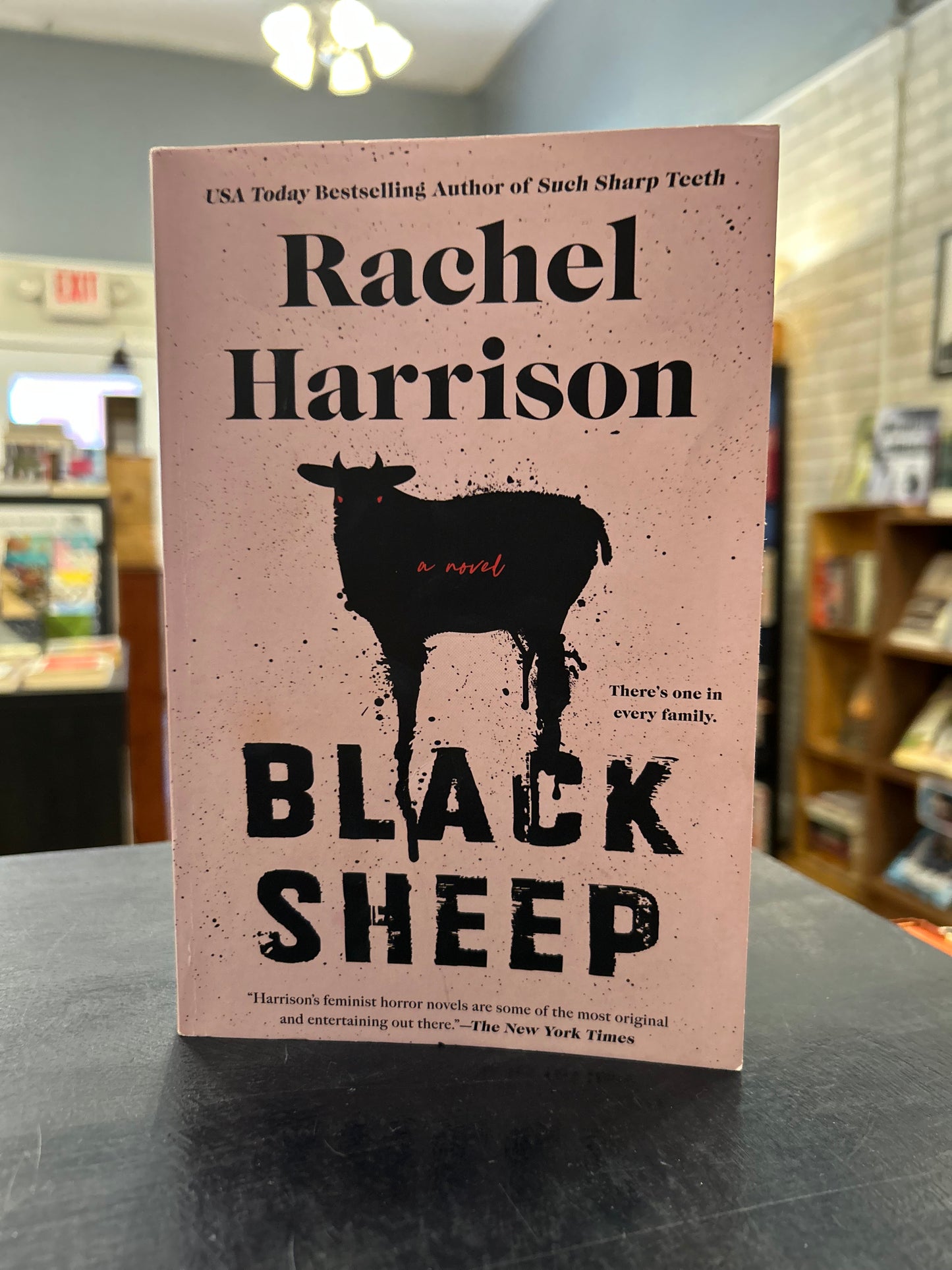 Black Sheep - Rachel Harrison