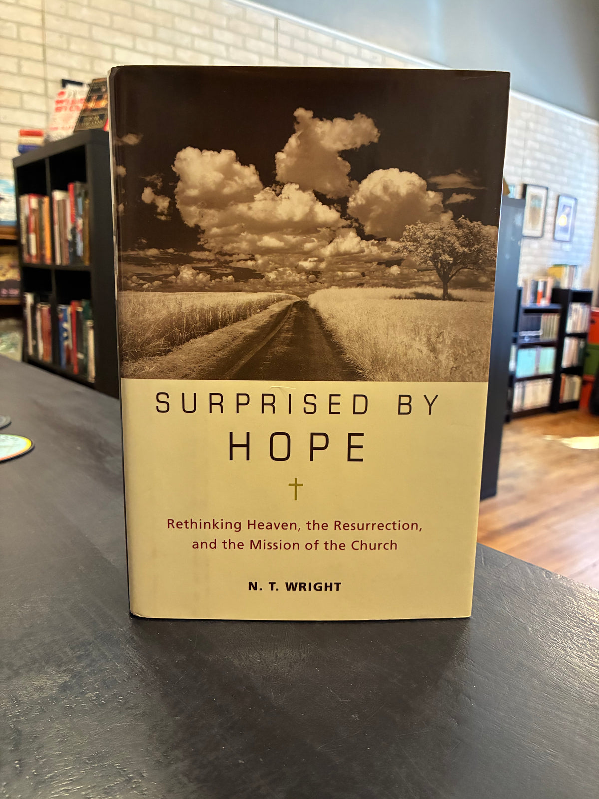 Surprised by Hope - NT Wright
