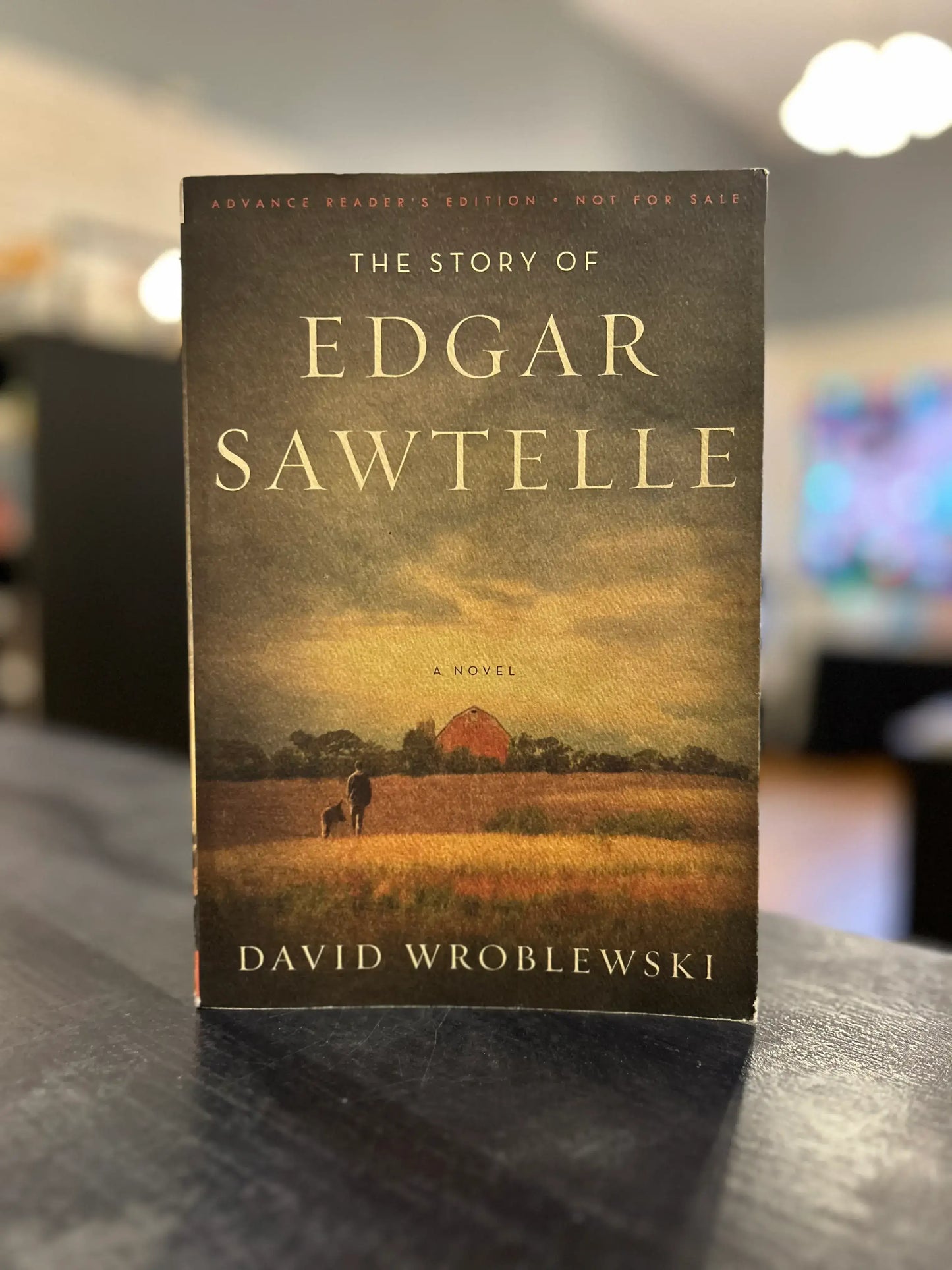 The Story of Edgar Sawtelle - David Wroblewski - larger trade paper