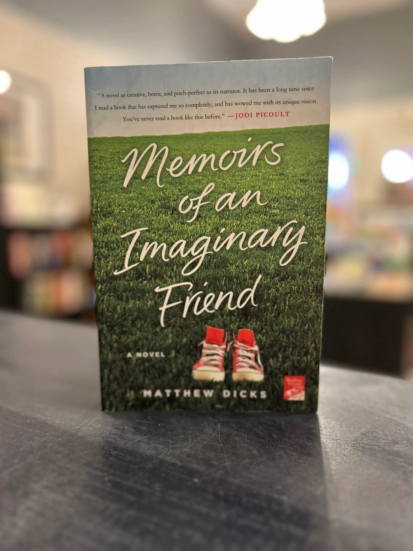 Memories of an Imaginary Friend - Matthew Dicks