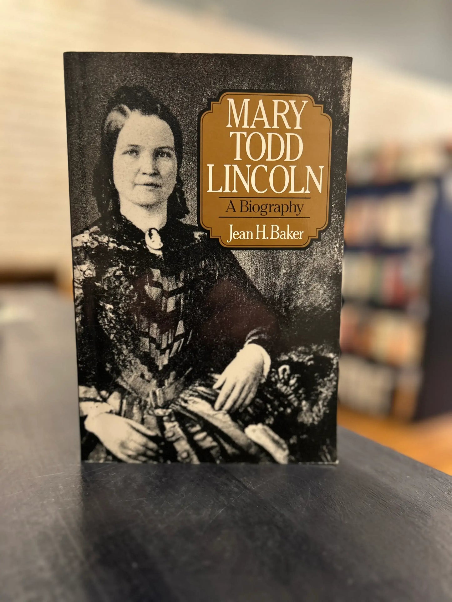 Mary Todd Lincoln: A Biography - Jean H. Baker