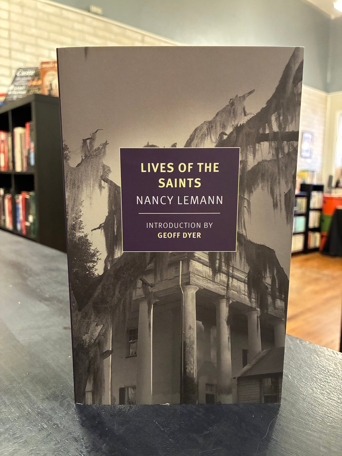 Lives of the Saints - Nancy Lemann