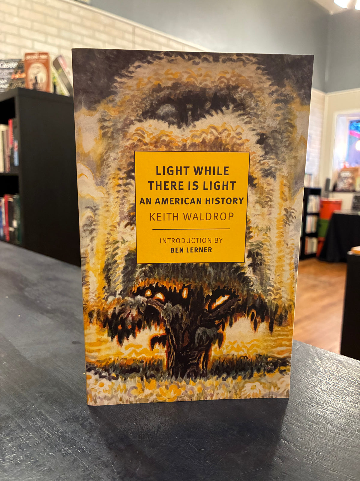 Light While There Is Light: An American History - Keith Waldrop