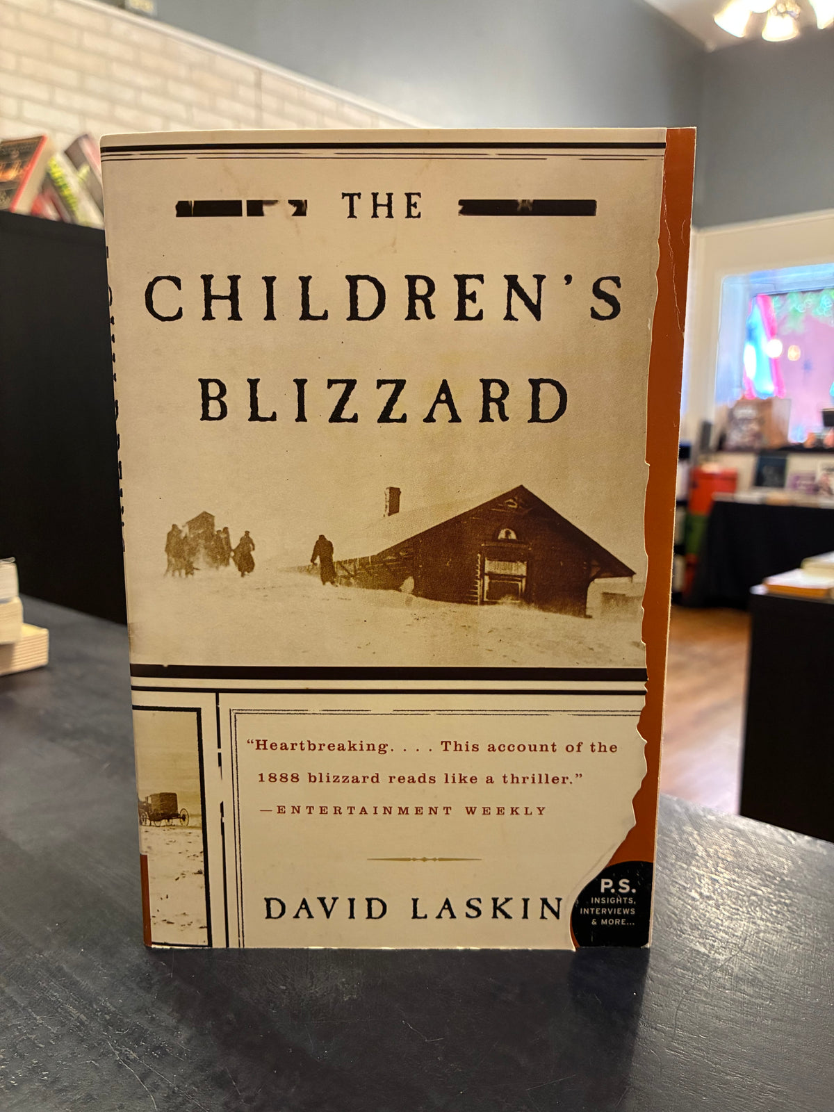 The Children's Blizzard - David Laskin