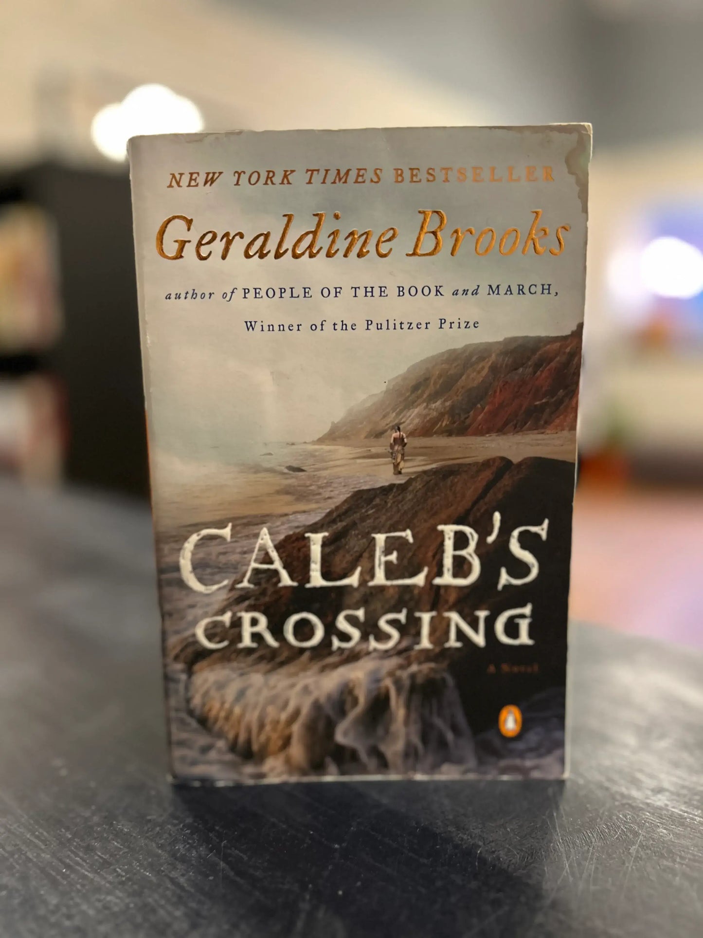 Caleb's Crossing - Geraldine Brooks
