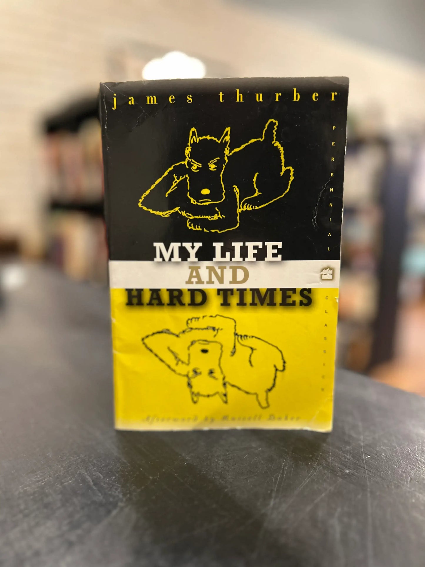 My Life and Hard Times - James Thurber