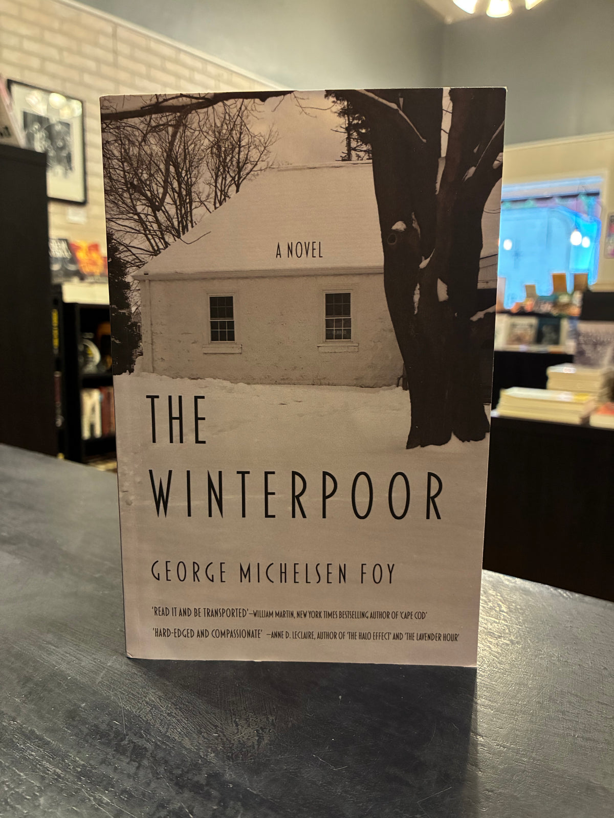 The Winterpoor - George Michelson Foy