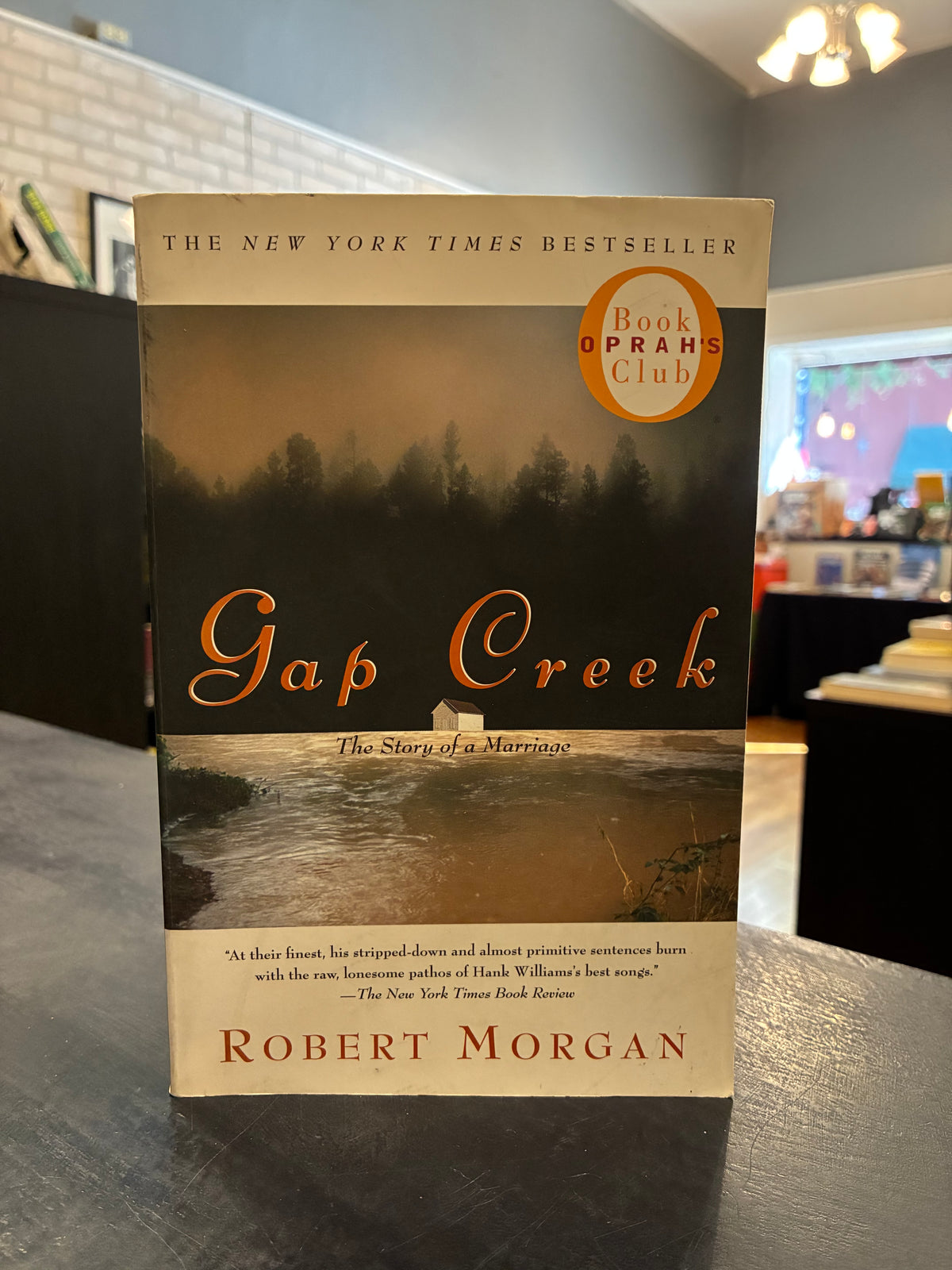 Gap Creek - Robert Morgan